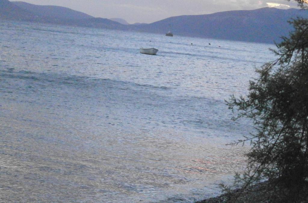 Artemis - Marina Evia