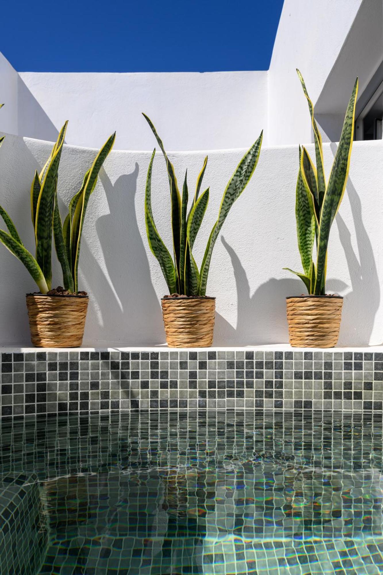 Margaret Of Naxos Guest house