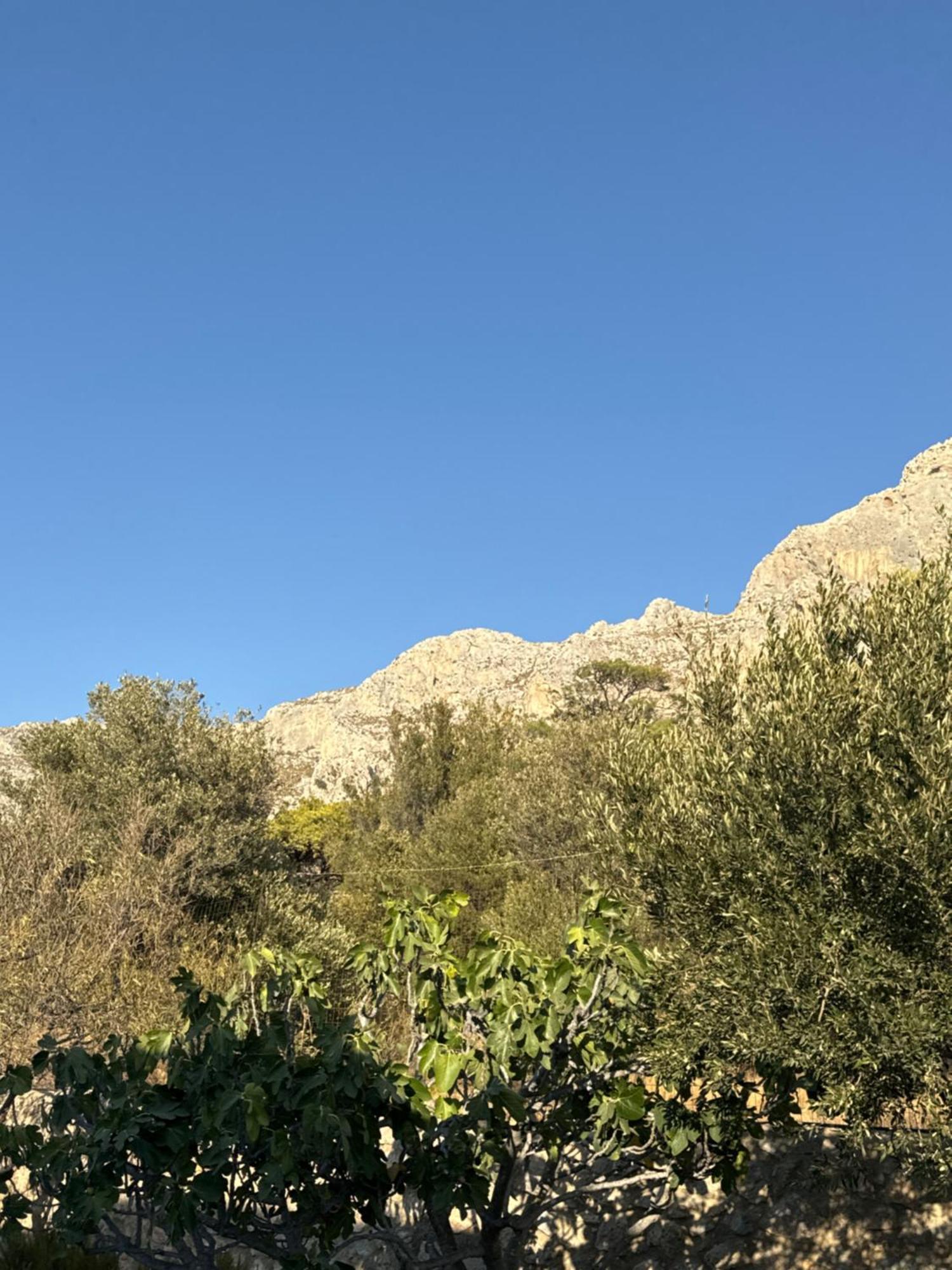 Bed & Breakfast Kaloniki &