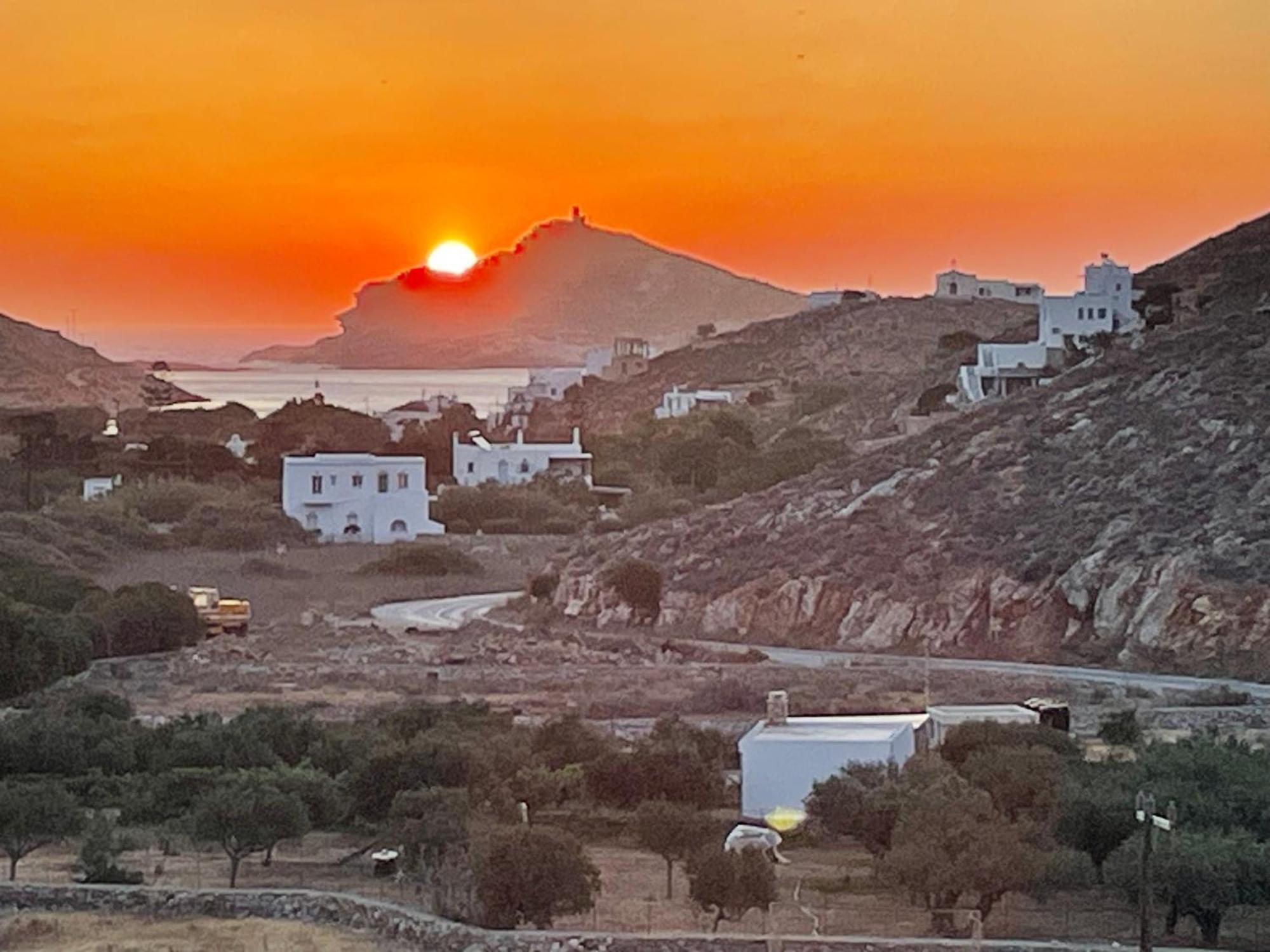 Maroniti