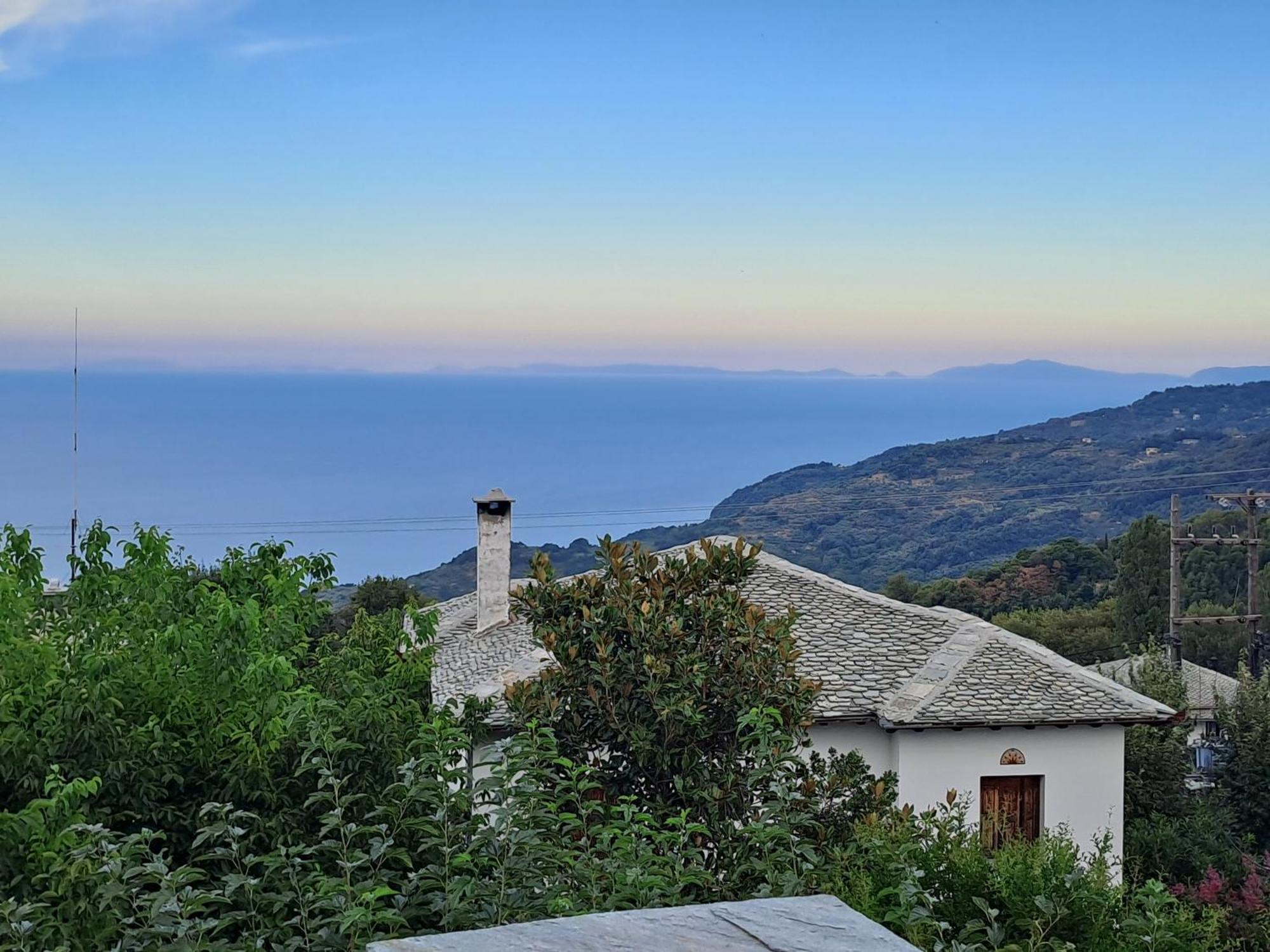 Muses Guest house *