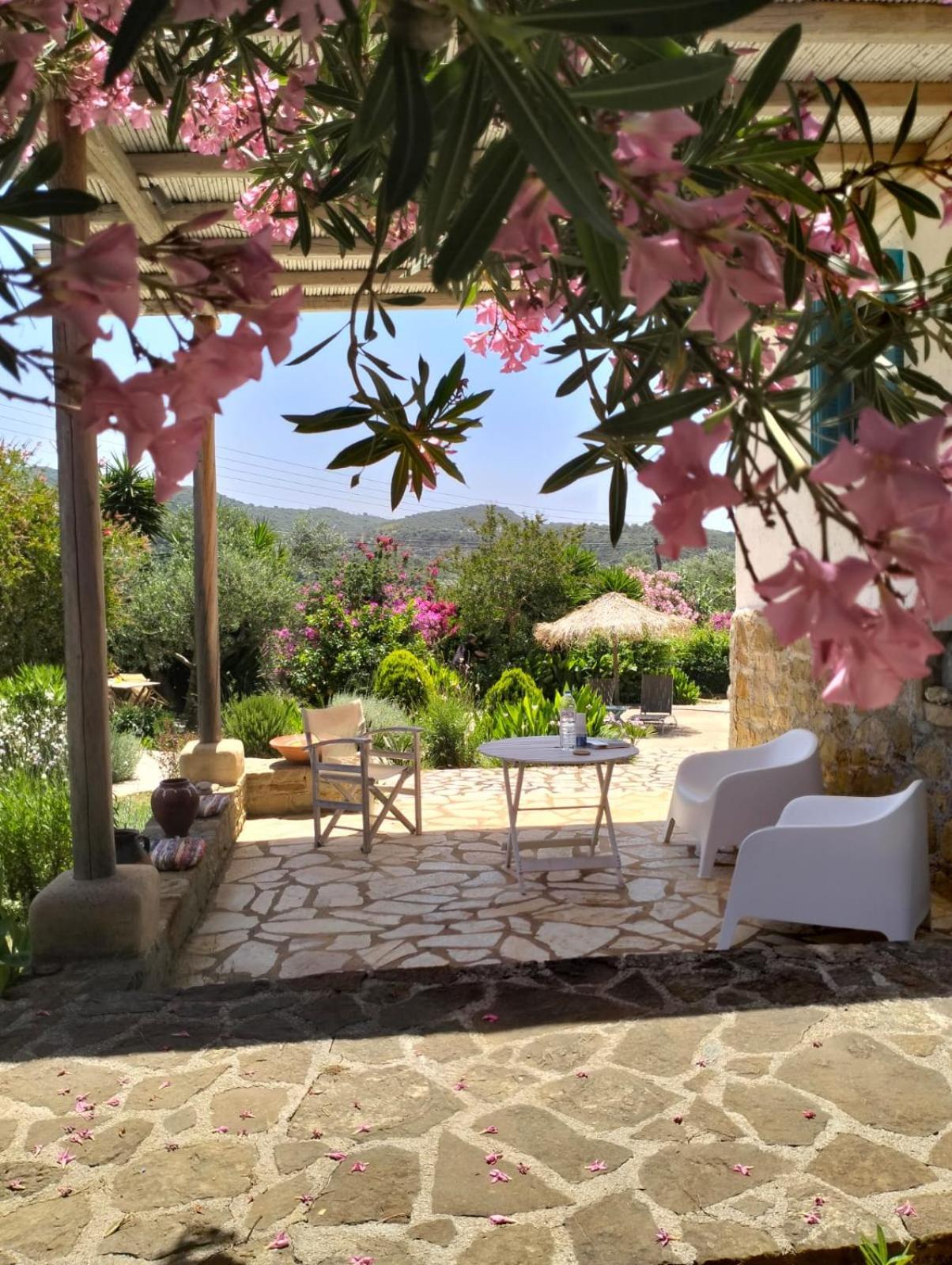 Holiday home Lemon Tree