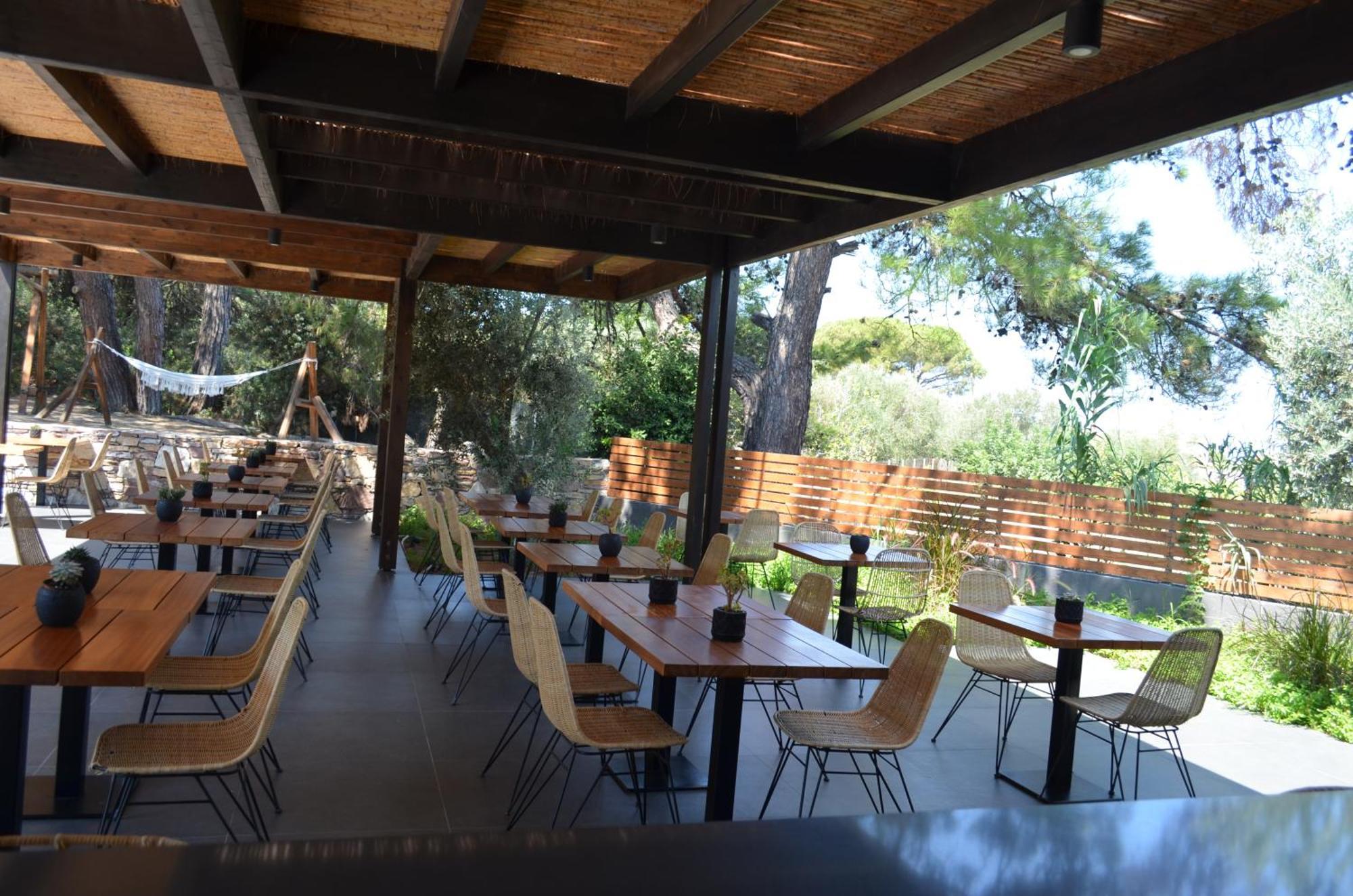 Hotel Cook's Club Rhodes Ialysos (Rhodes)