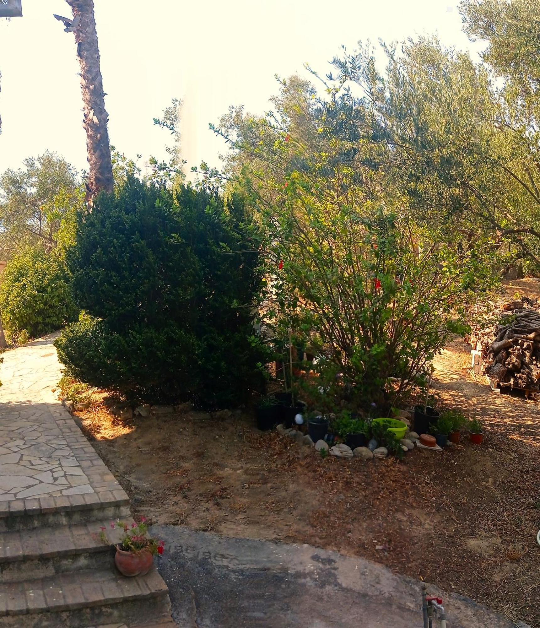 Tritsili House *