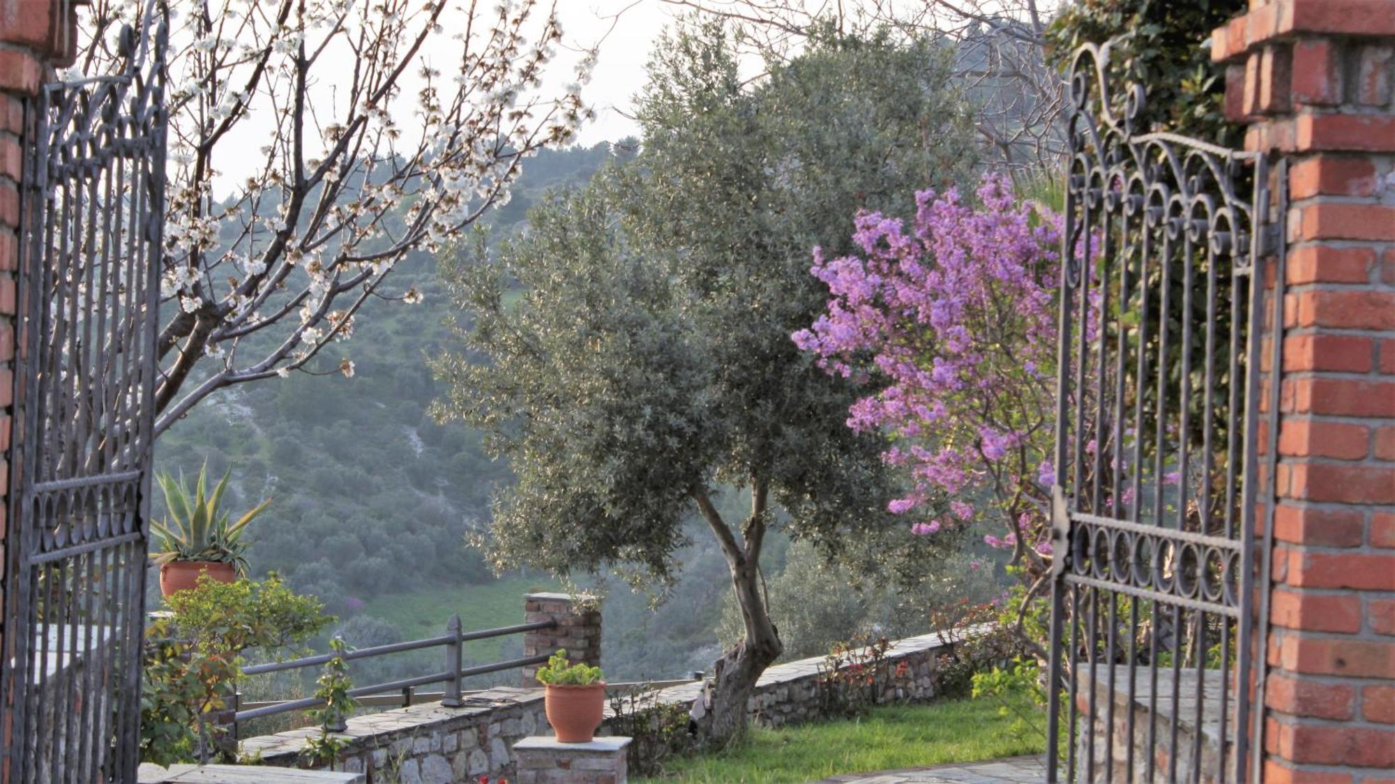 Vateri Guest house Limni (Evia)