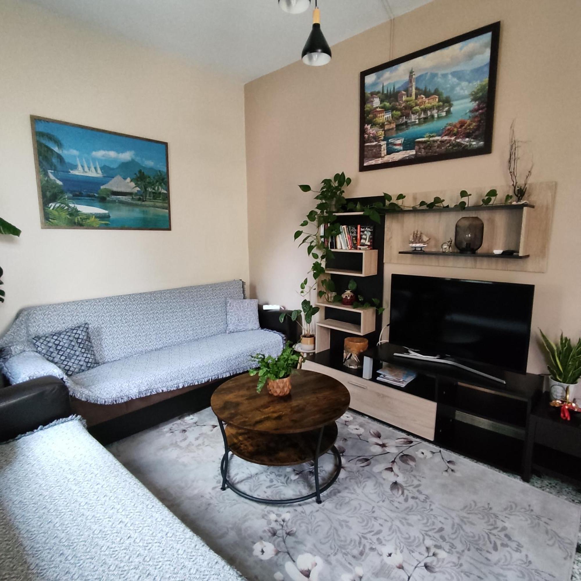Apartment Napier *