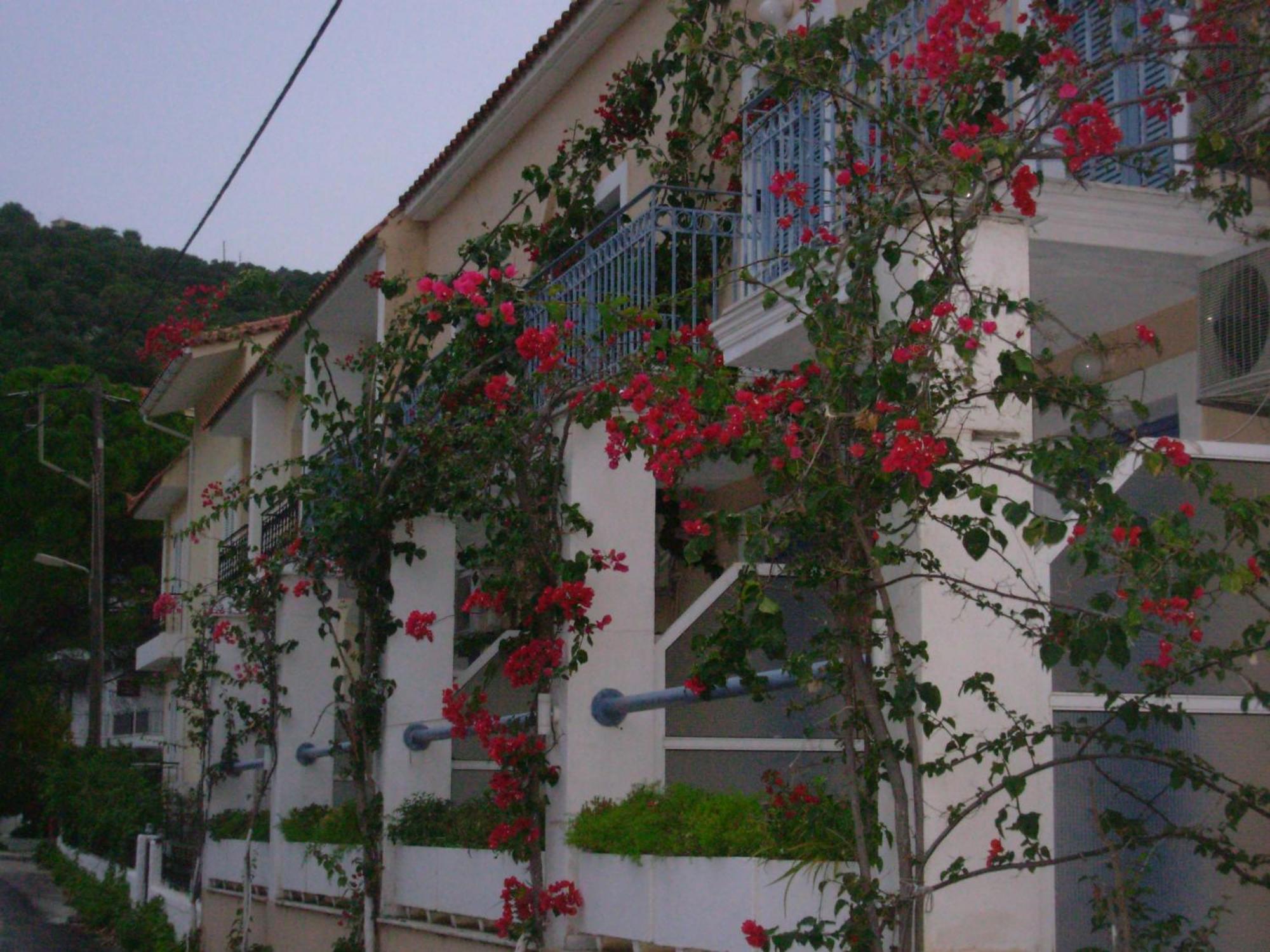 Louisa 2* Poros (Kefalonia)