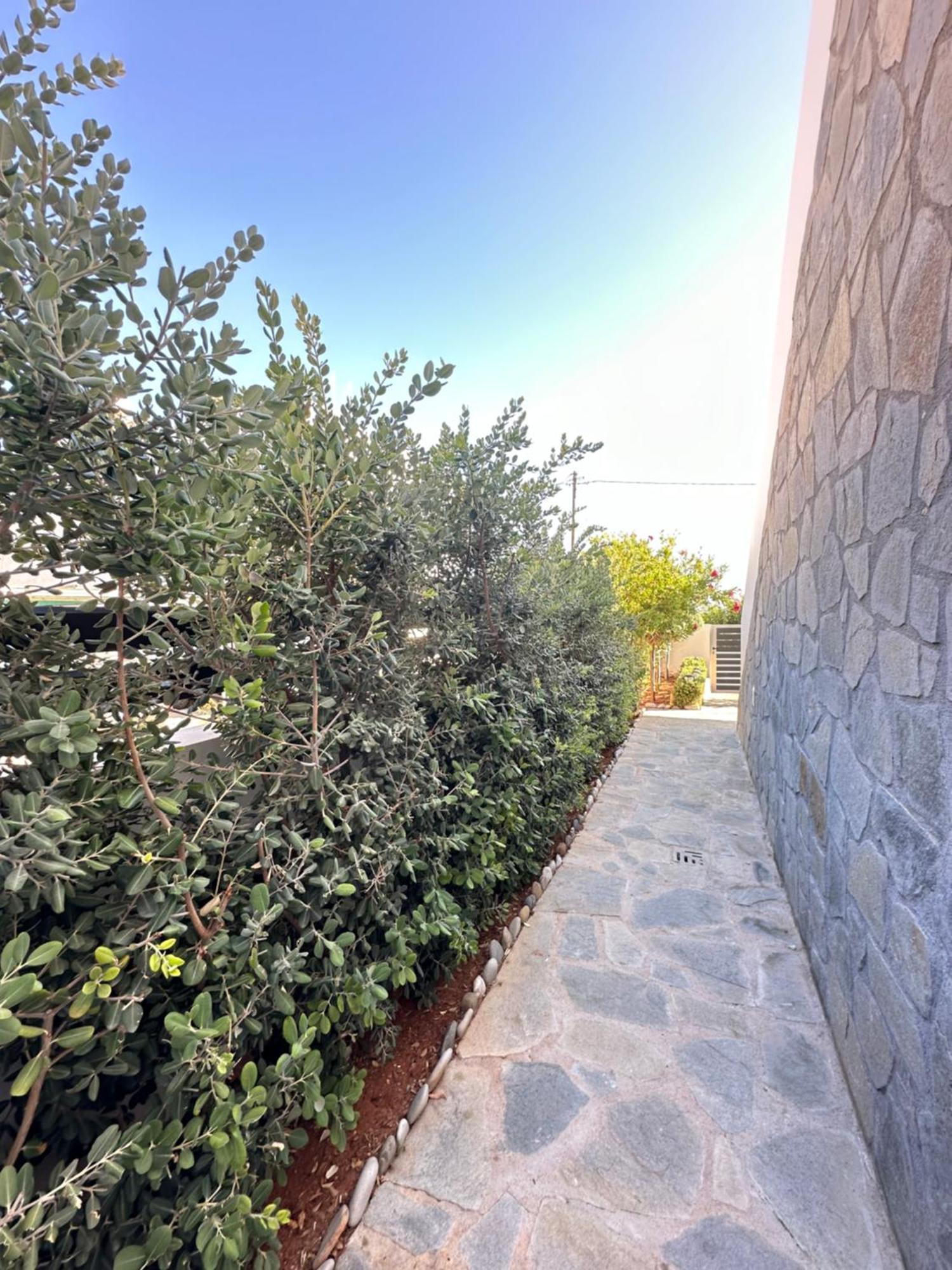 Fantasea Beachfront * Makry Gialos (Crete)