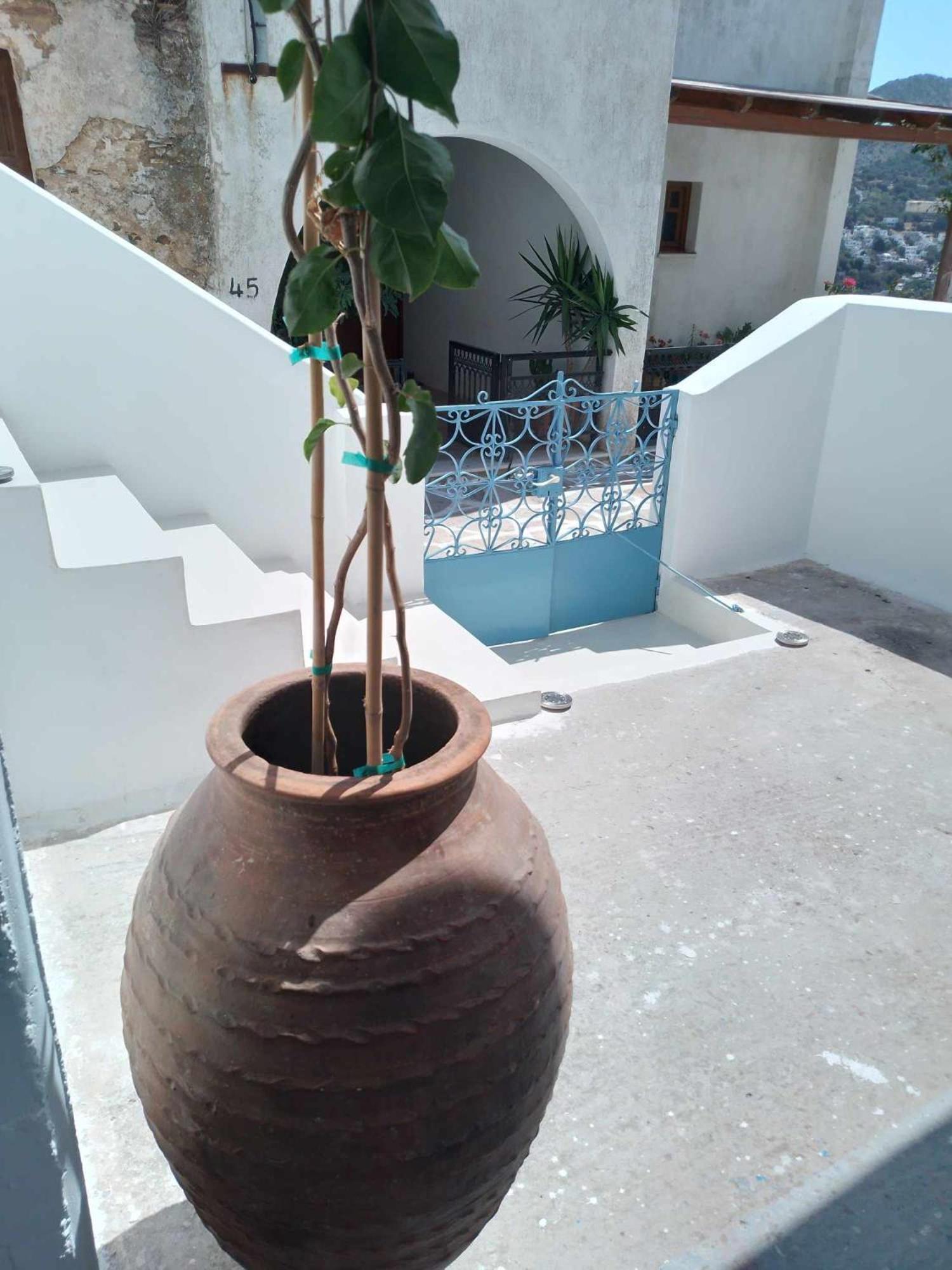 Blue House Holiday home Koronos