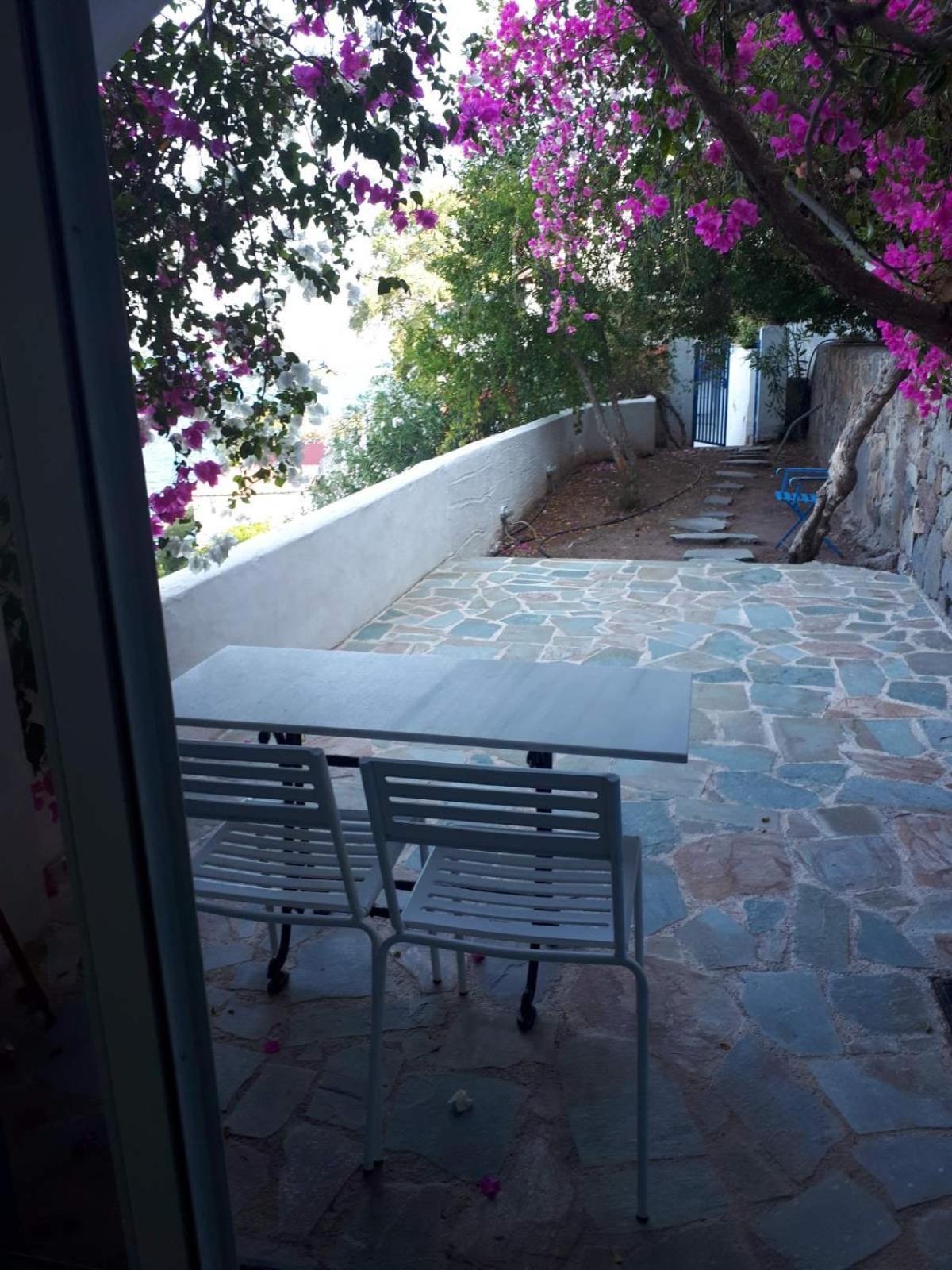 Jenny's Sea View House