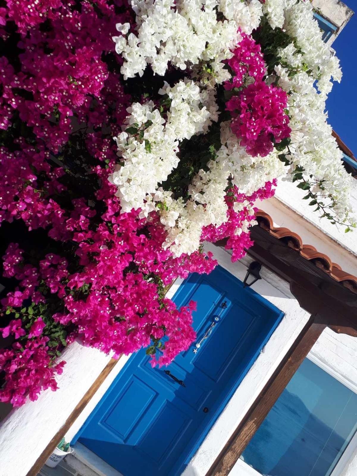 Holiday home Jenny's Sea View House Poros Town