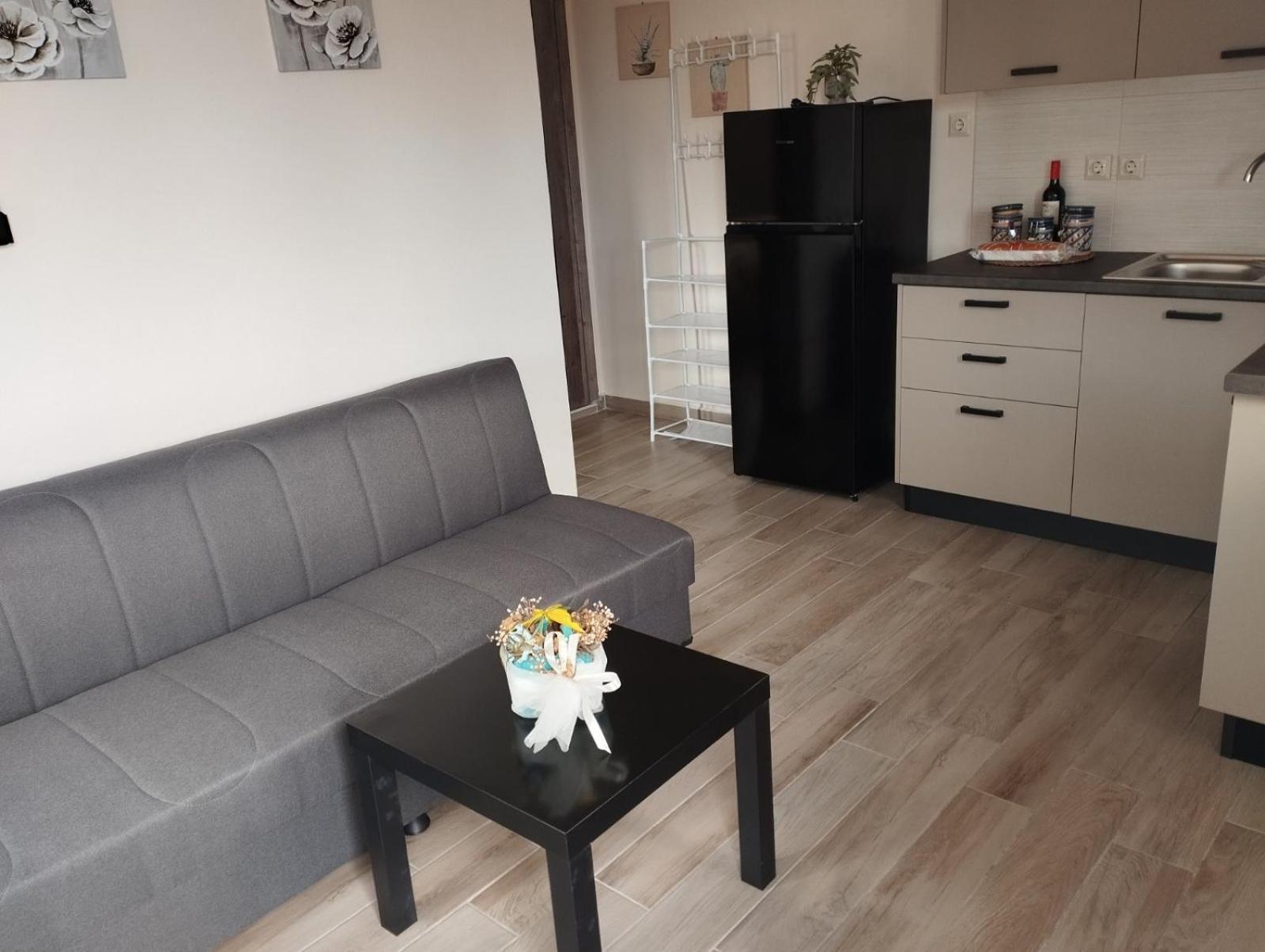 Aloe Syros Apartment *