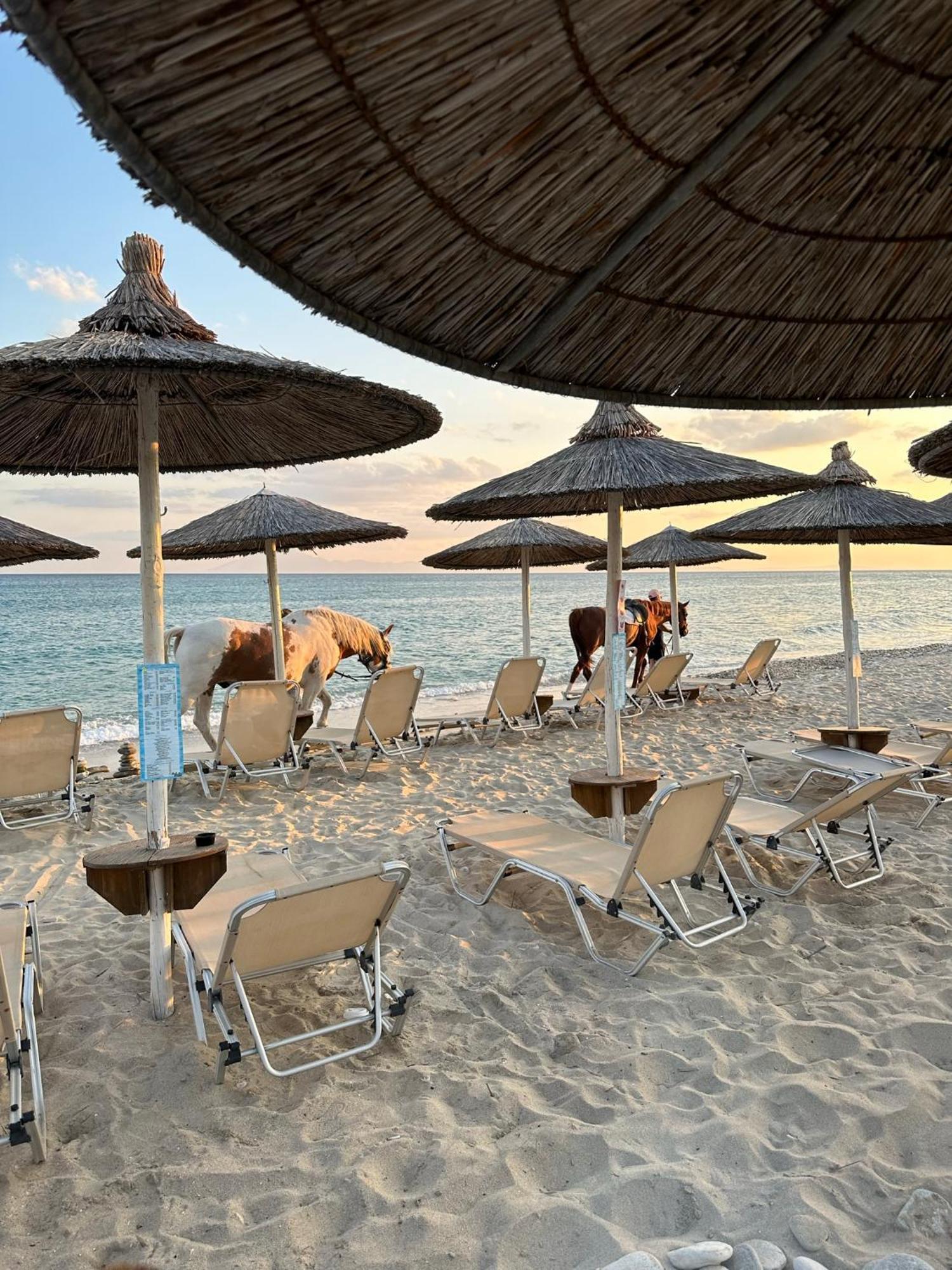 Gorgona Di Thassos * Limenaria (Thasos)