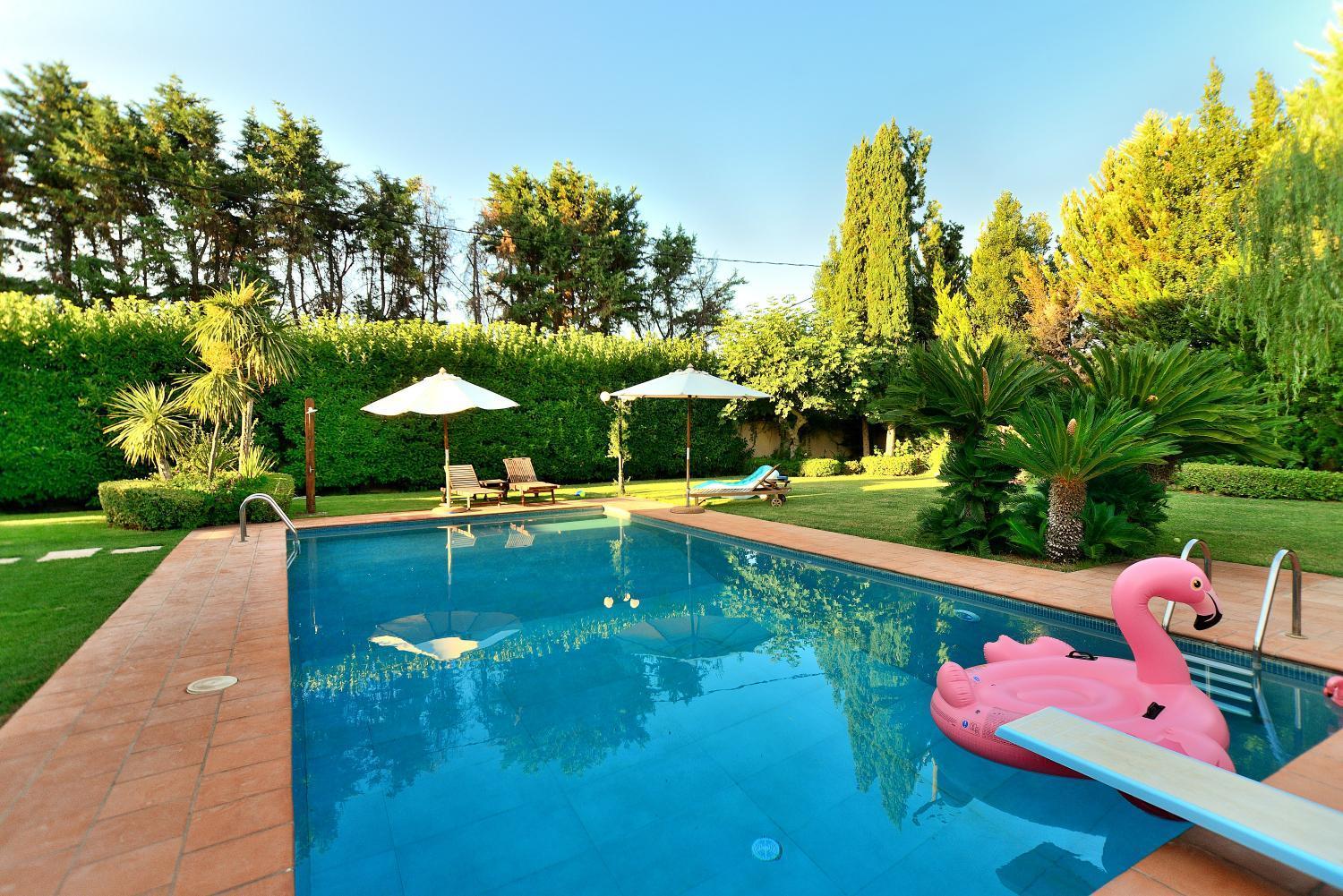 Pool Desmira Nea Palatia