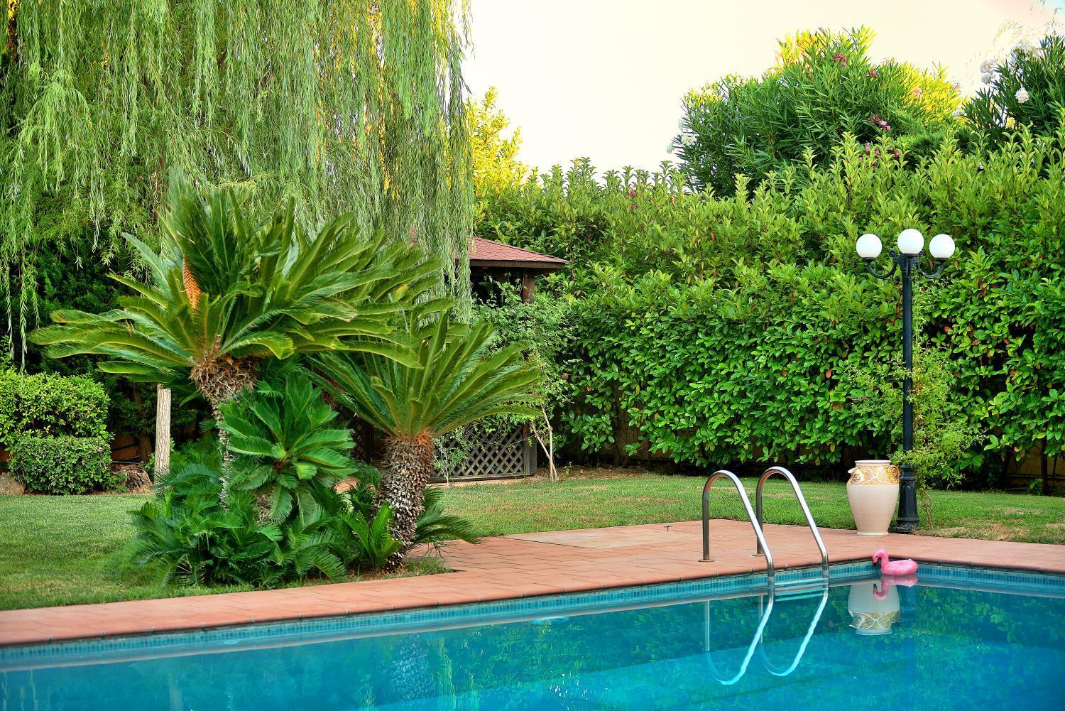 Pool Desmira Apartment *