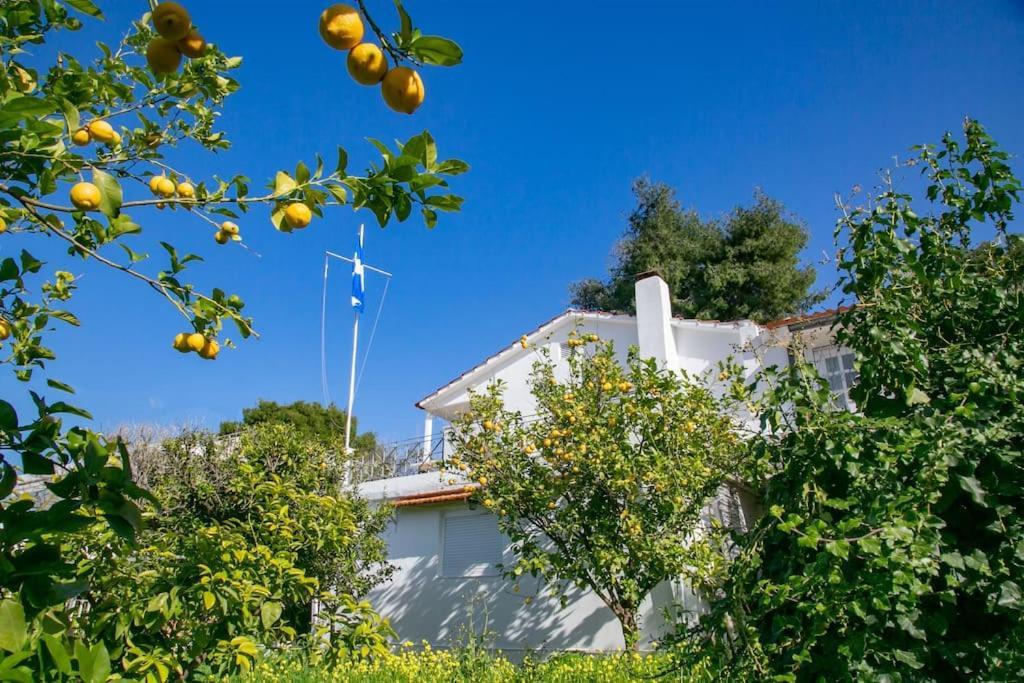 Kalamos Sea View Walking Distance