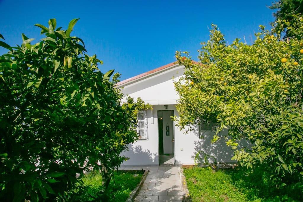Holiday home Kalamos Sea View Walking Distance