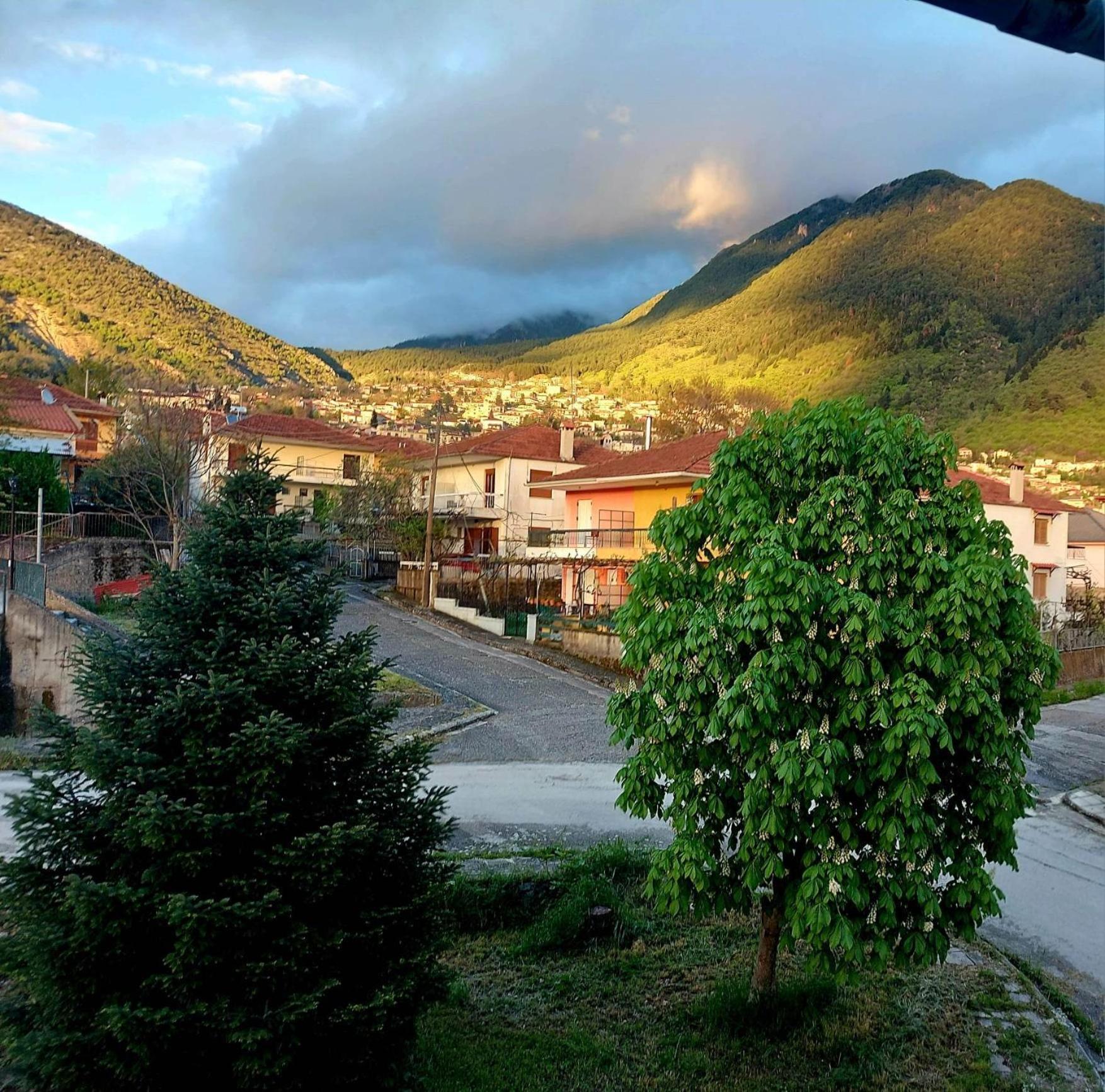 Apartment Mirabilia