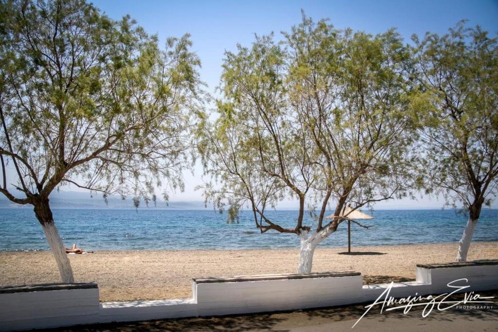 Lovely Sea * Amarynthos