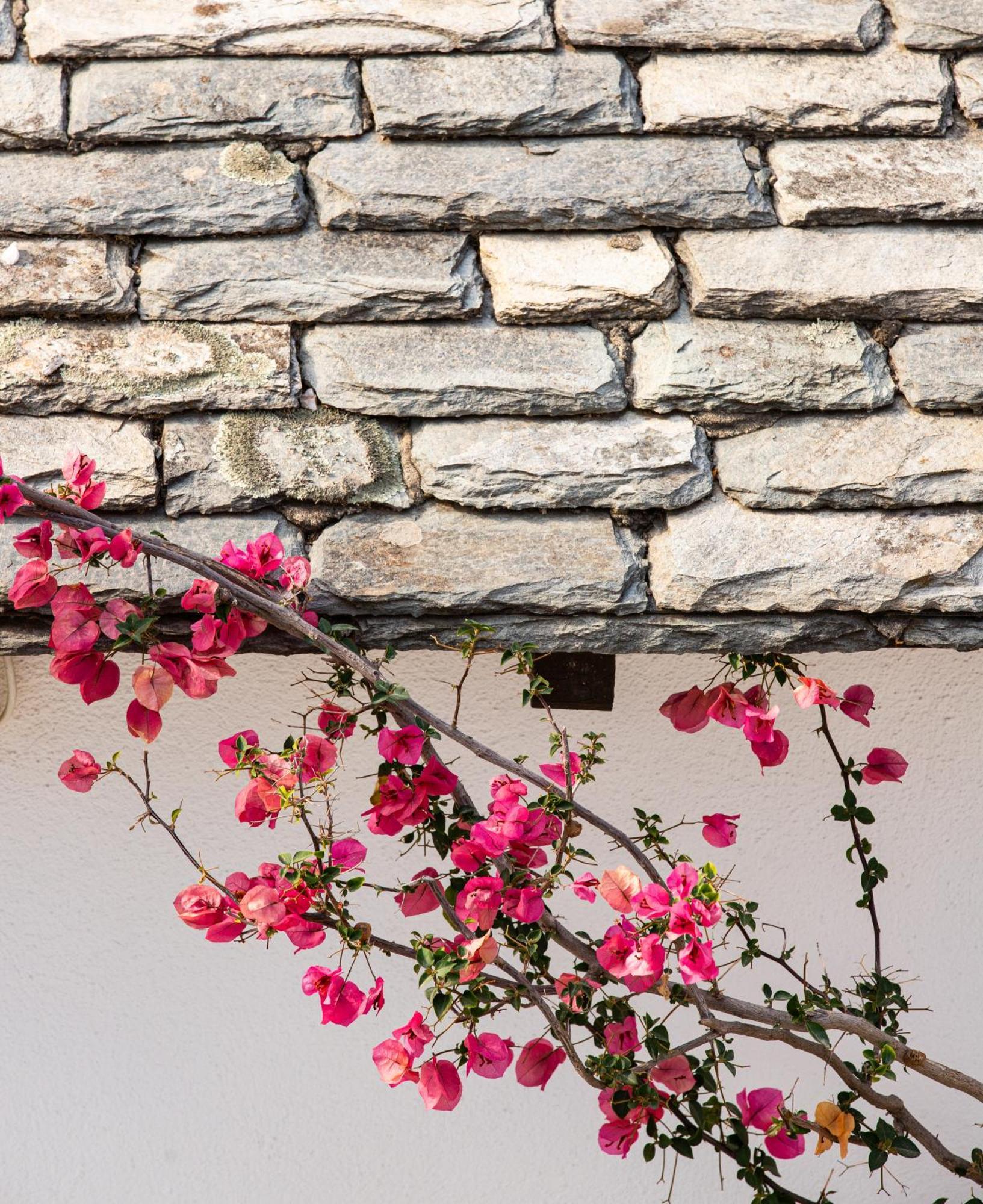 Aparthotel Aeolos & - Pelion