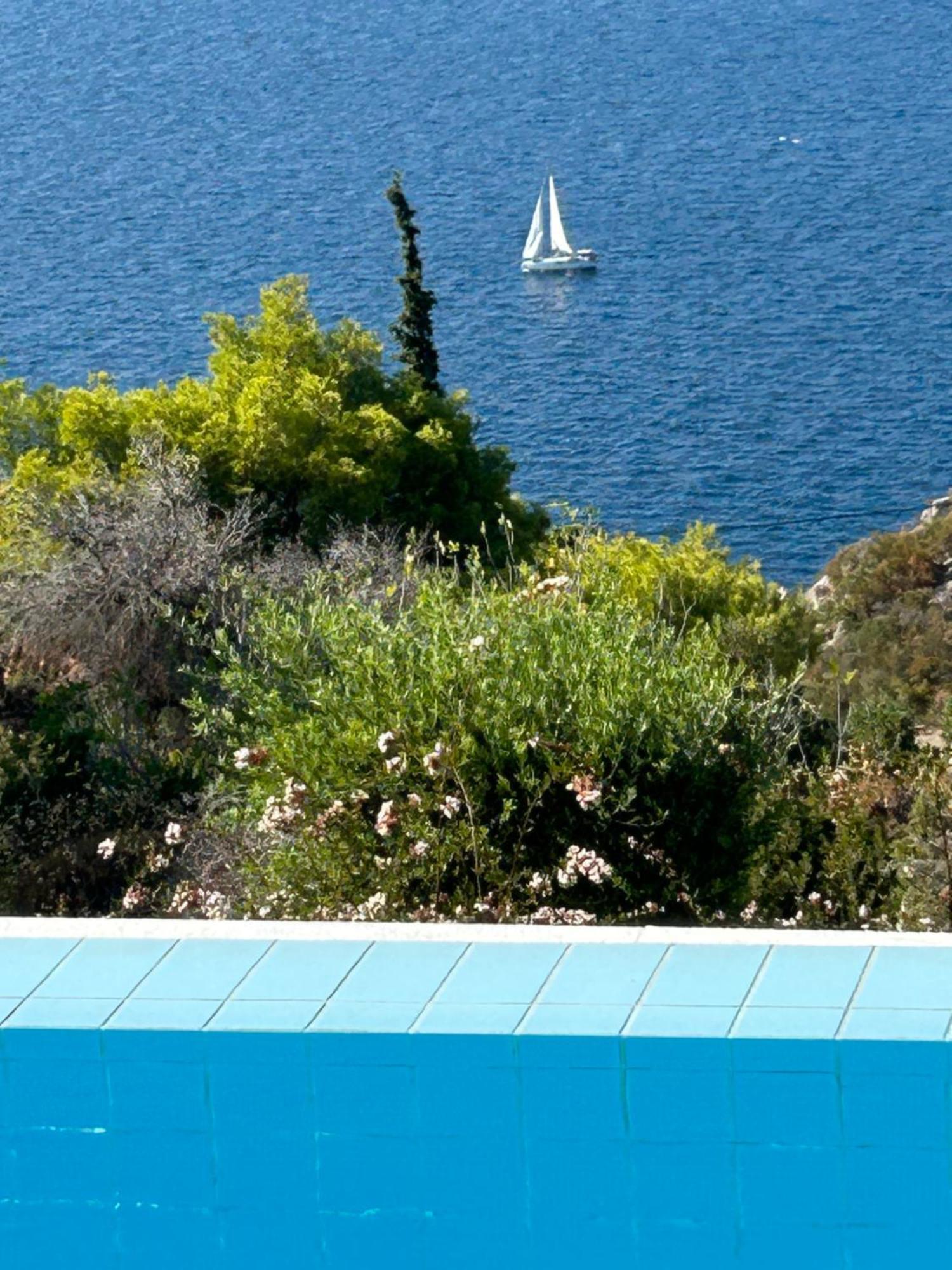 Amalia Theologos (Phthiotis)