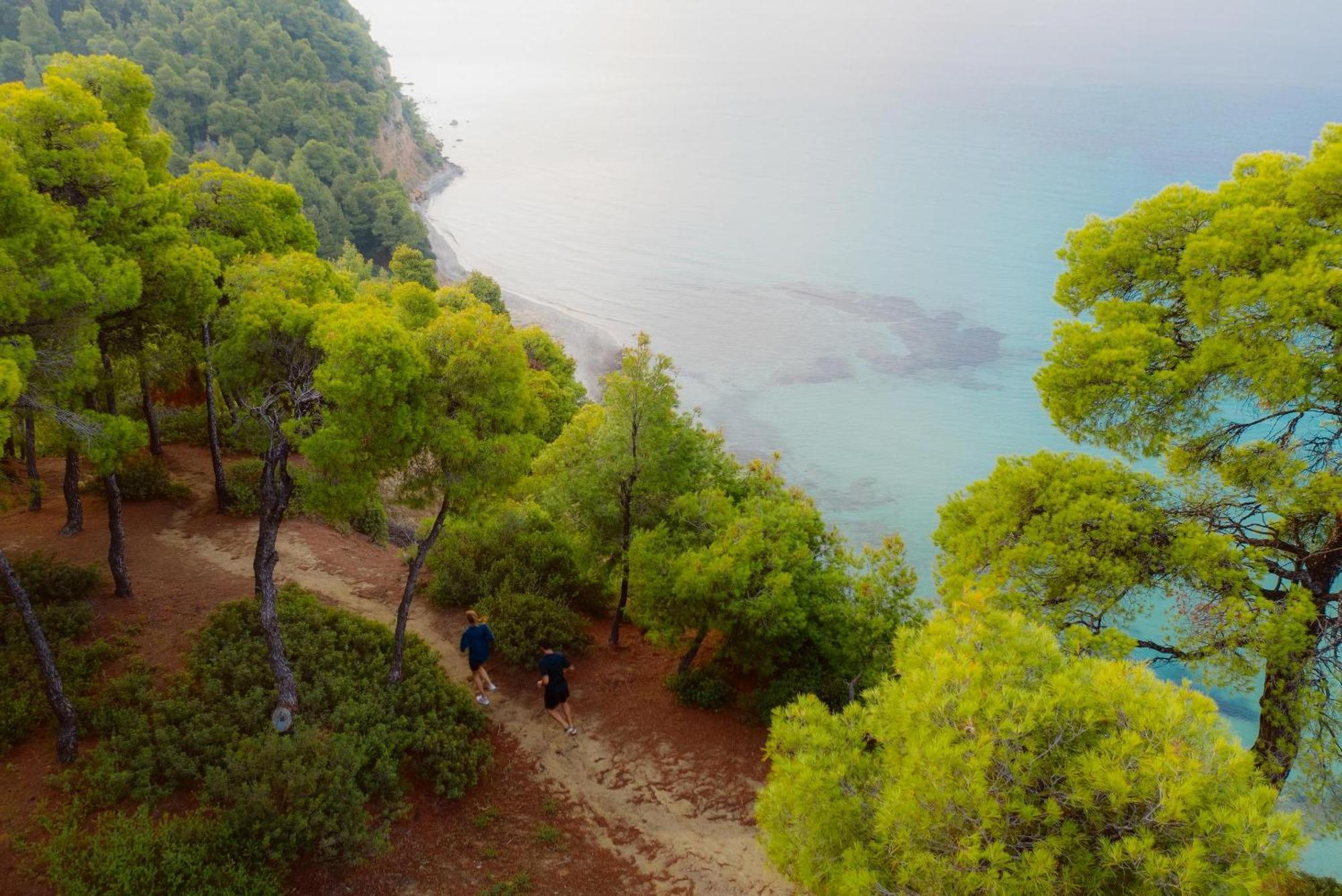 Sani Club Sani (Chalkidiki)