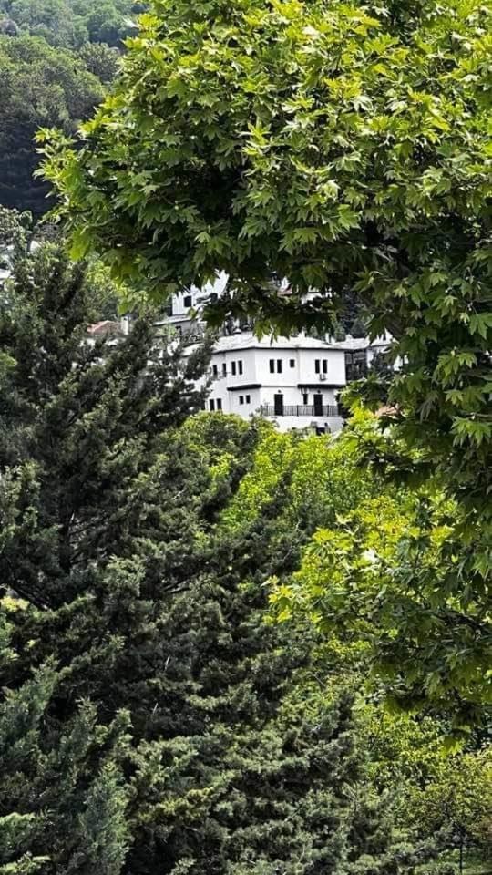 Filokalia Guest house