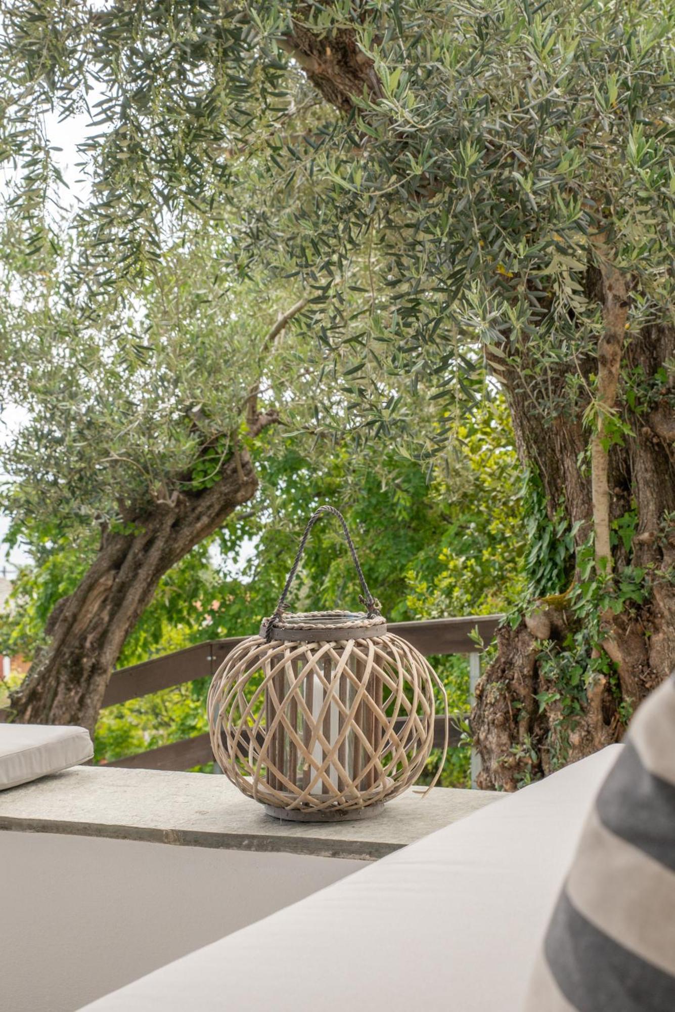 Aparthotel Aeolos & - Pelion