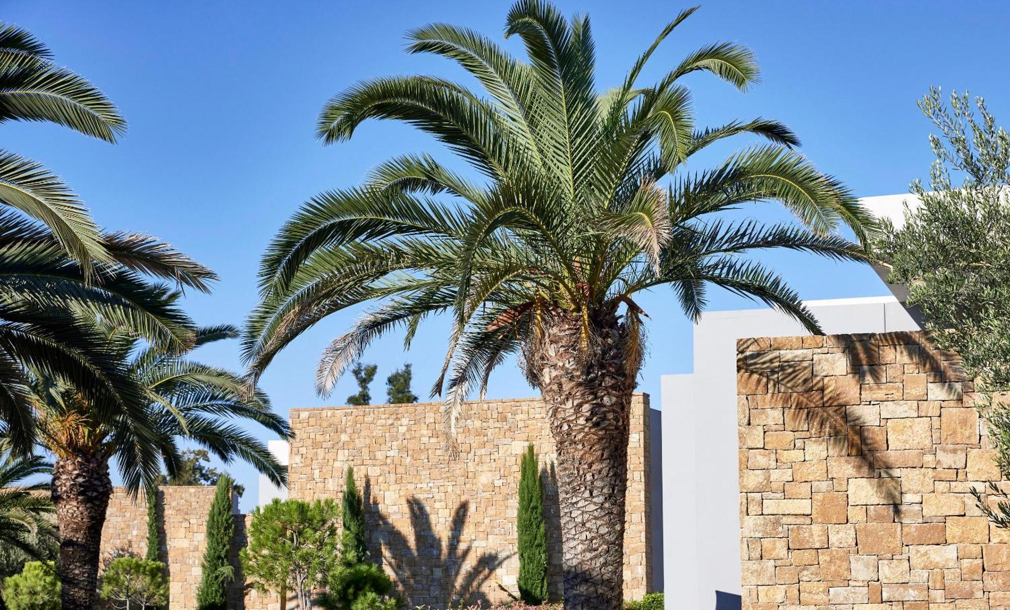 Hotel Ikos Olivia Gerakini