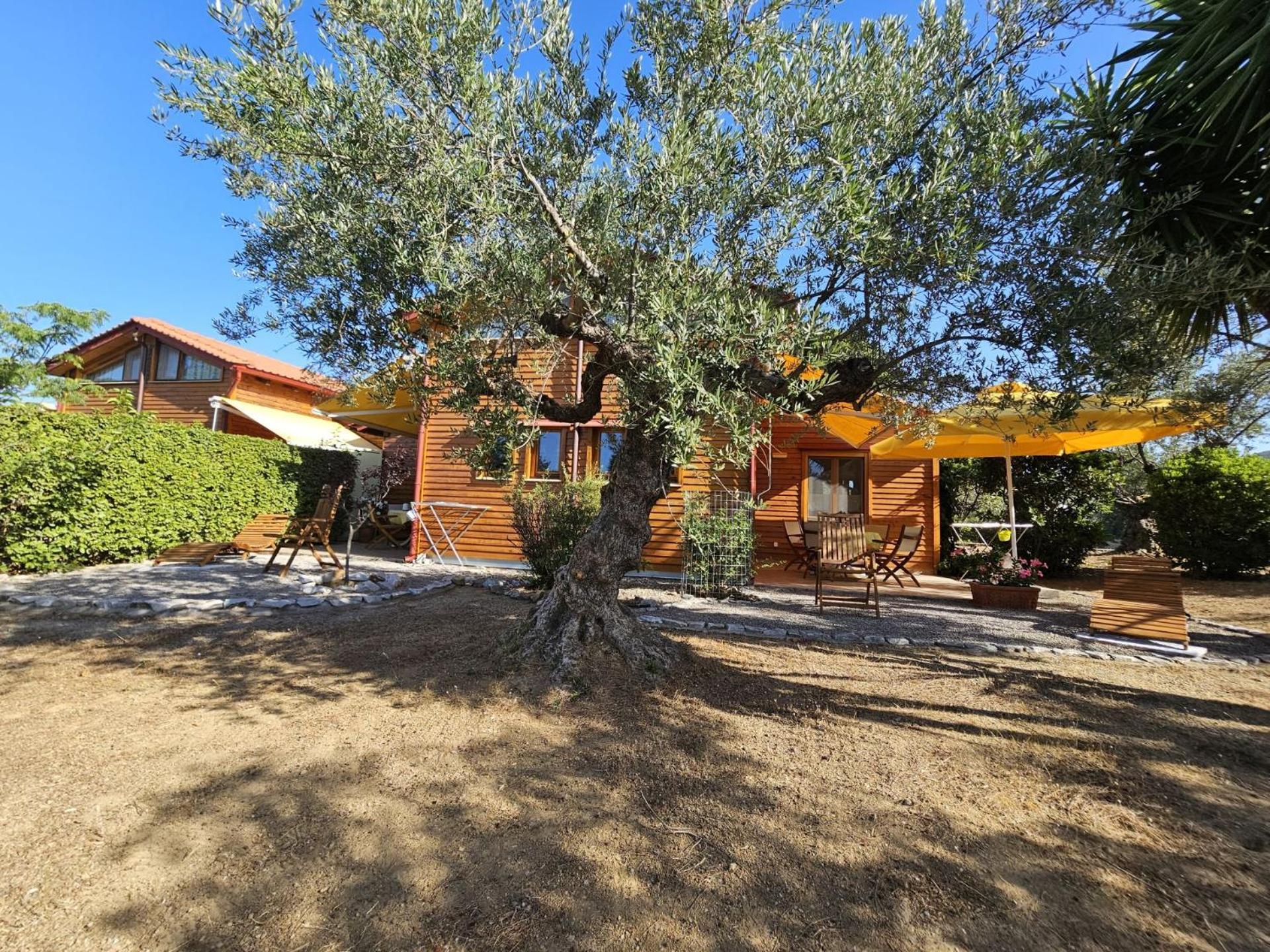 Ktirakia Apartment