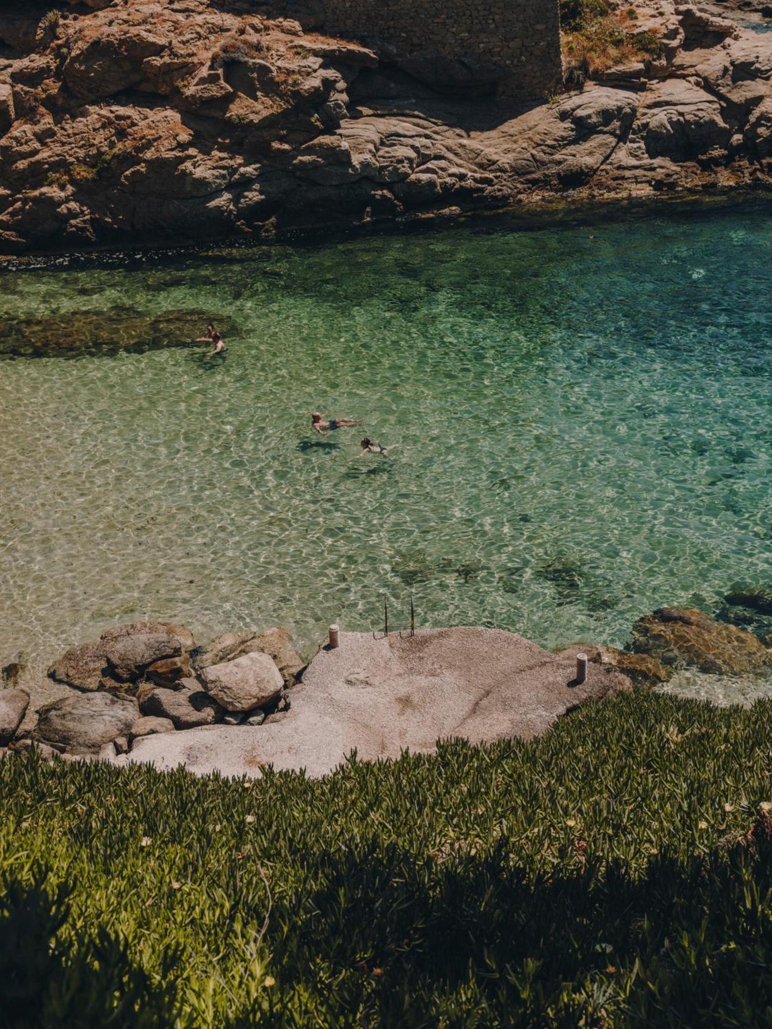 The Wild By Interni