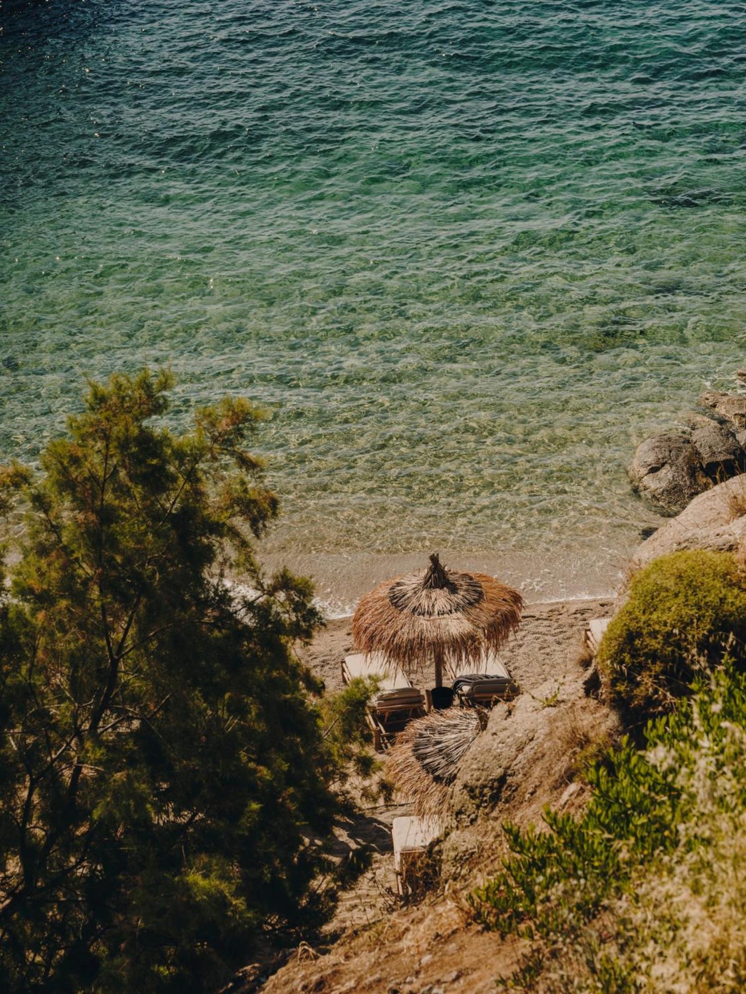 The Wild By Interni Hotel 5*