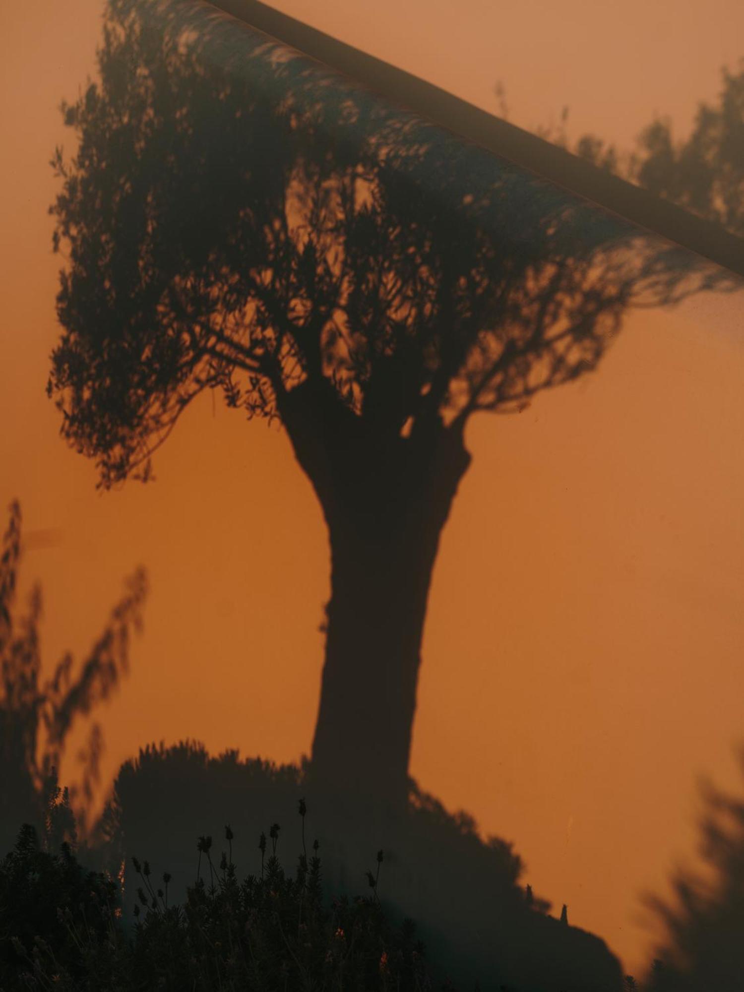 The Wild By Interni