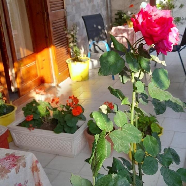 Homestay Stella Sunrise