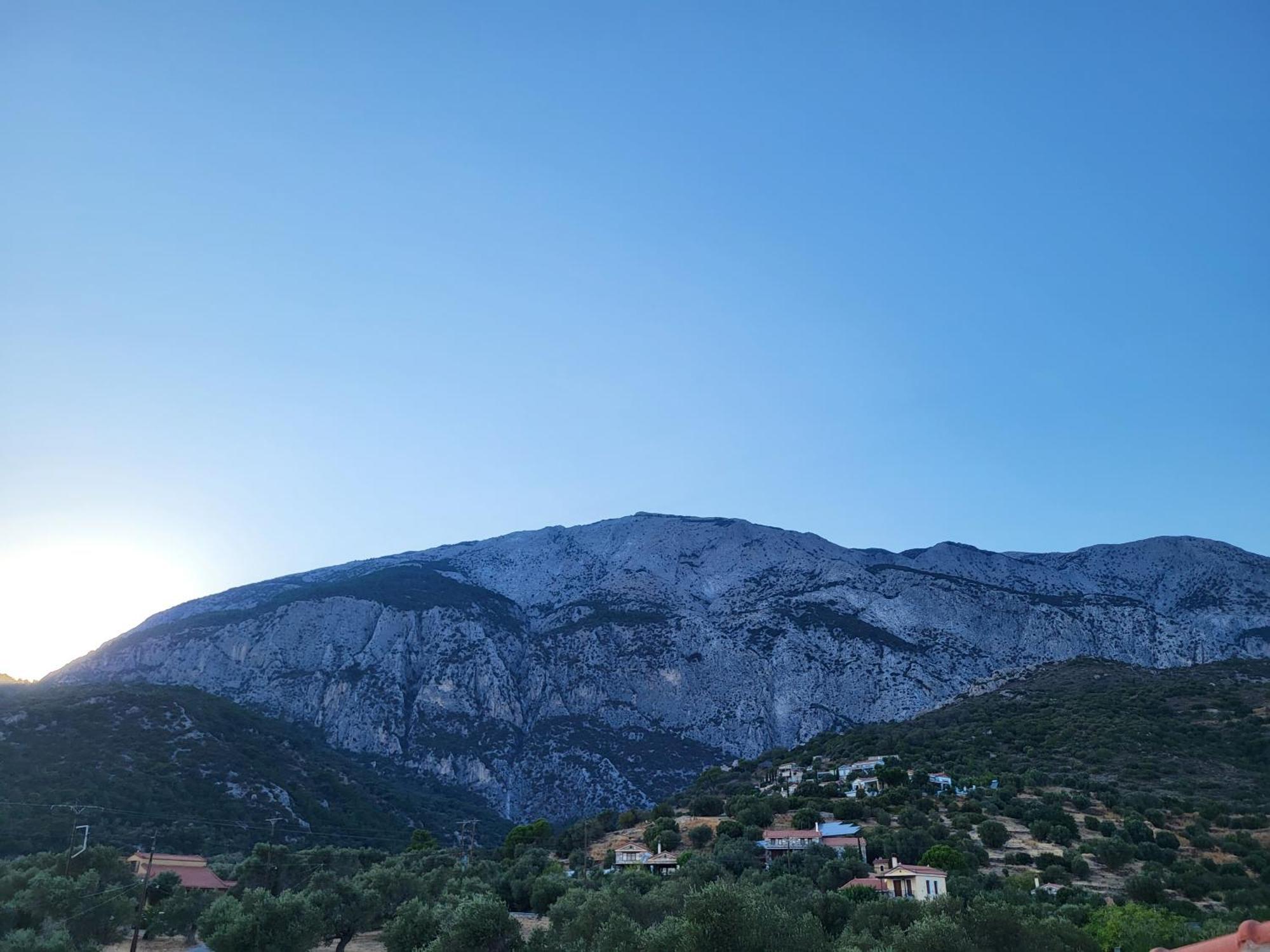 Villa Olive τree ηouses *