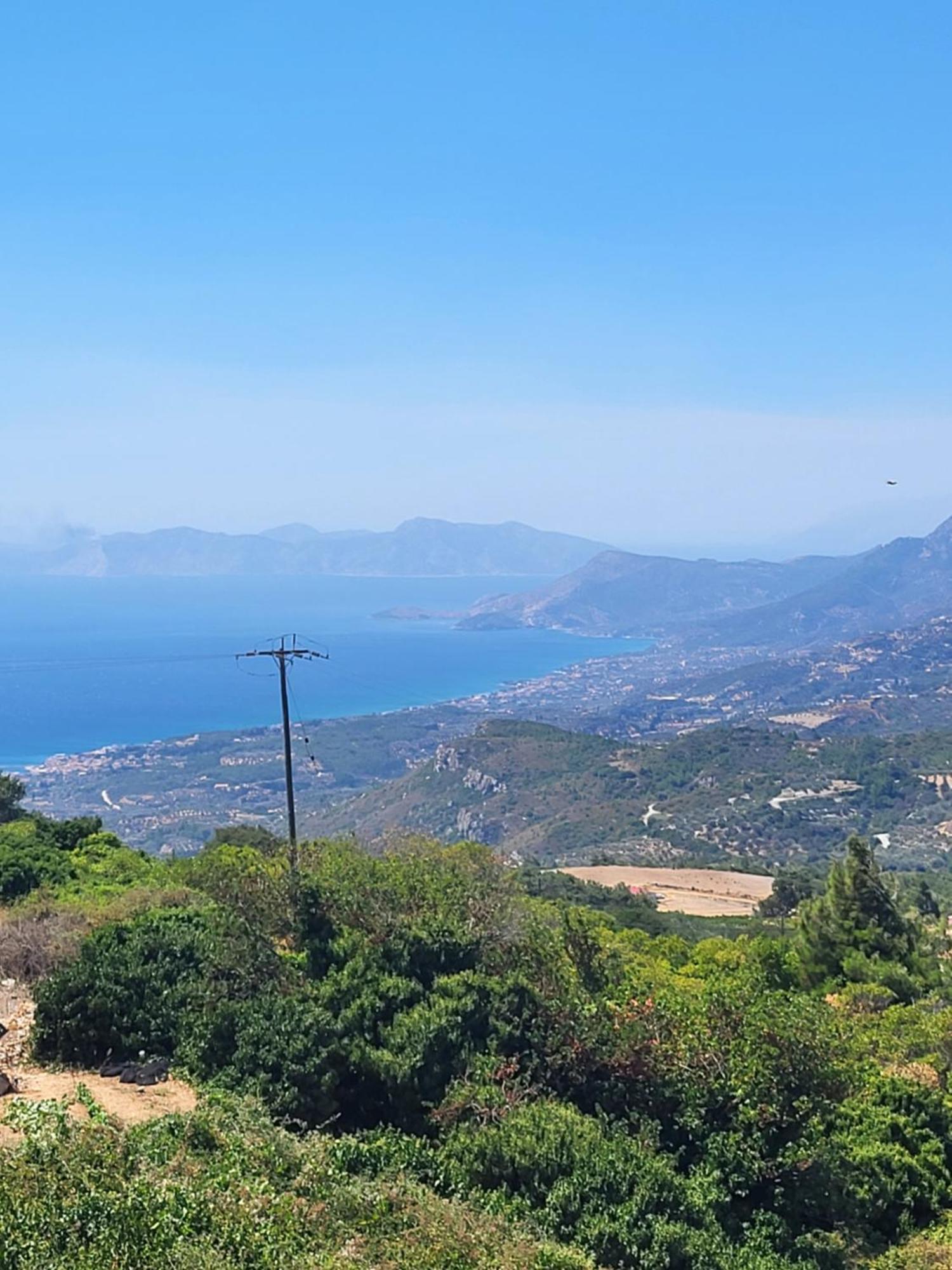 Olive τree ηouses * Votsalakia (Samos)