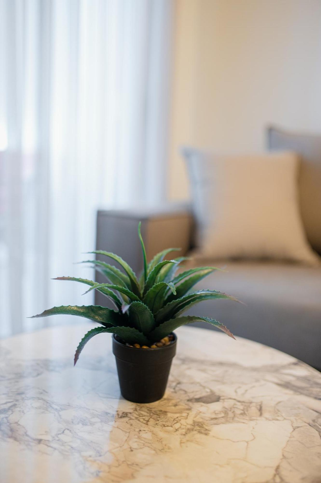 Apartment Medea's Luxury *