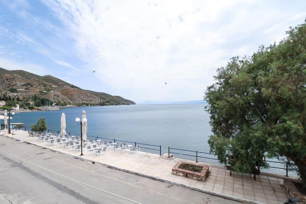 κοράλι, παραλία λίμνης Limni (Evia)