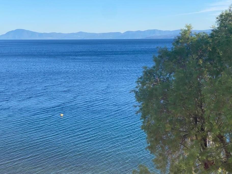 κοράλι, παραλία λίμνης Holiday home Limni (Evia)