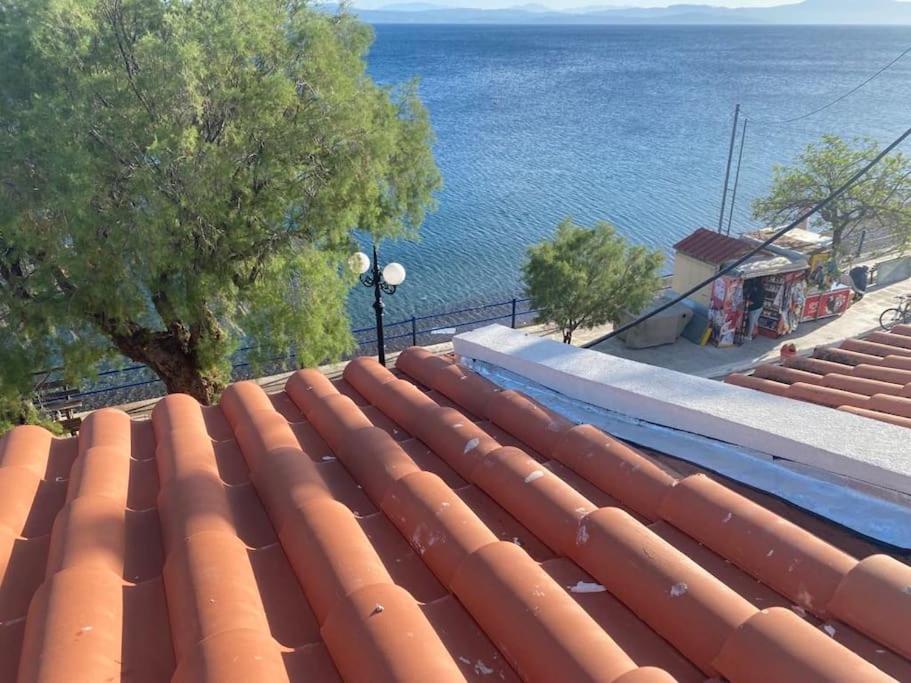 κοράλι, παραλία λίμνης