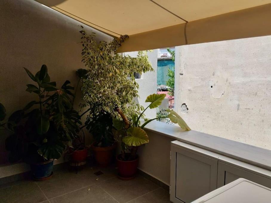 κοράλι, παραλία λίμνης * Limni (Evia)