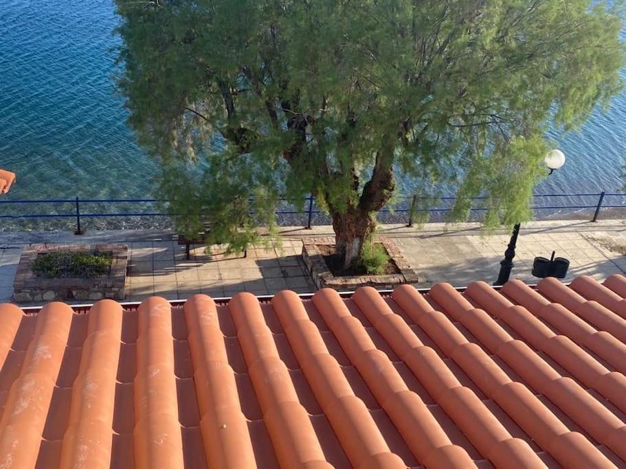 κοράλι, παραλία λίμνης Holiday home
