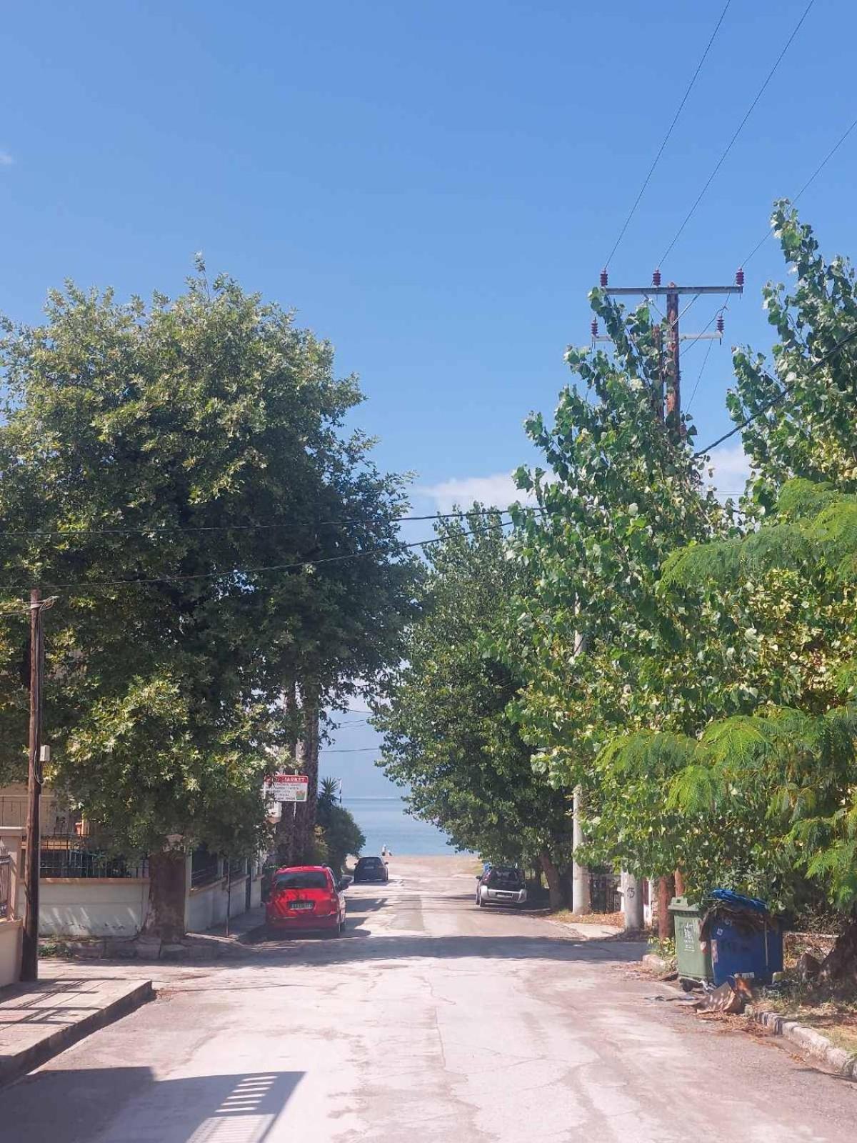 Iroko Villa
