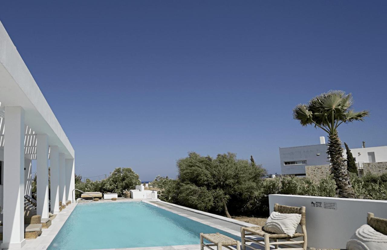 Seapalm * Lachania (Rhodes)