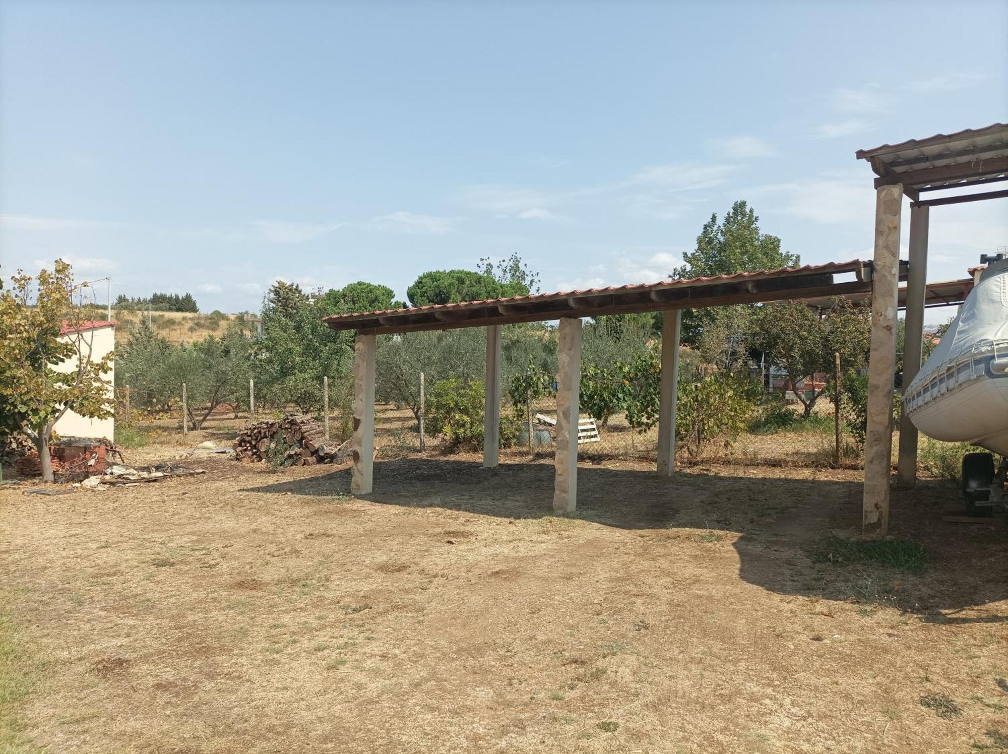 Holiday home ελαιώνας και θάλασσα