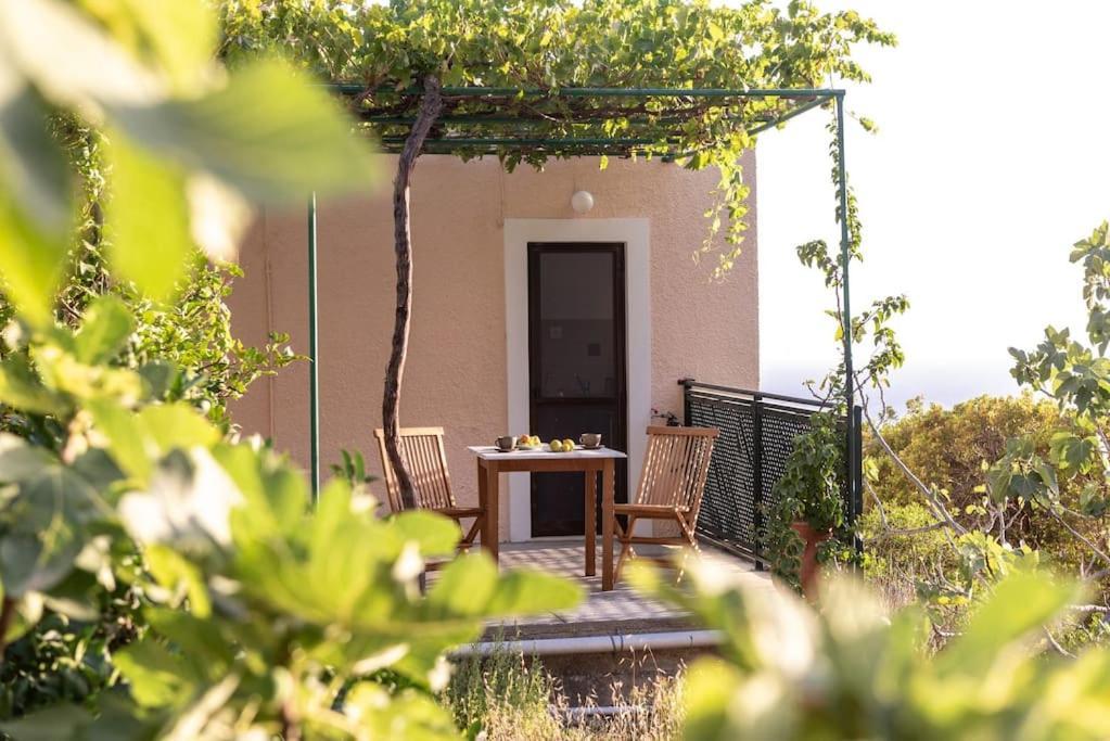 σκίνος Holiday home