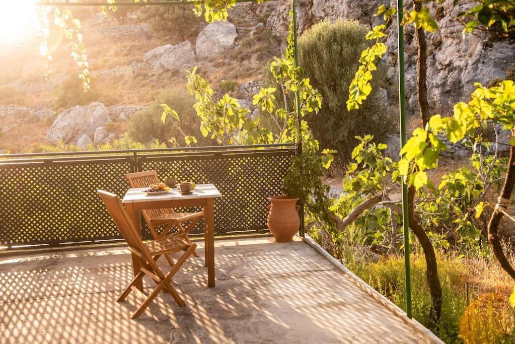 Holiday home σκίνος