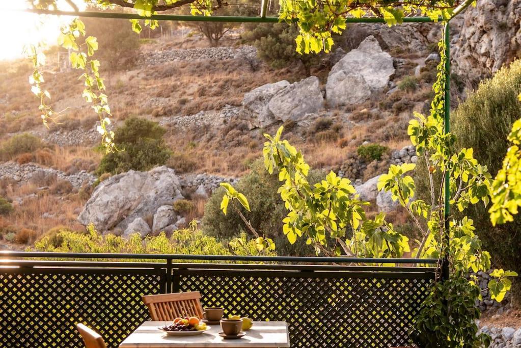 σκίνος Holiday home *
