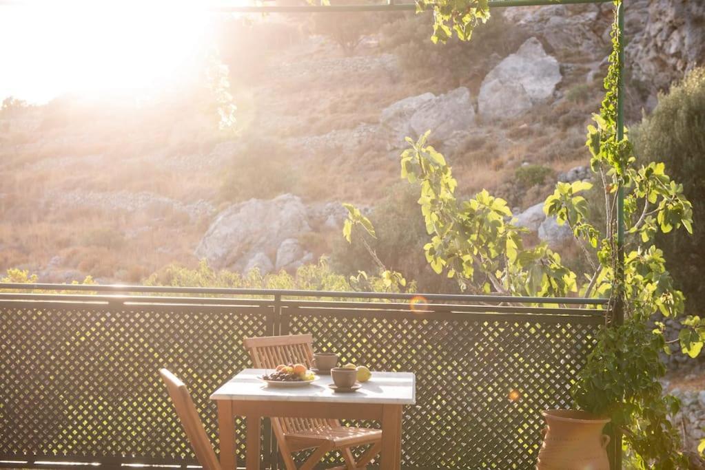 σκίνος Holiday home