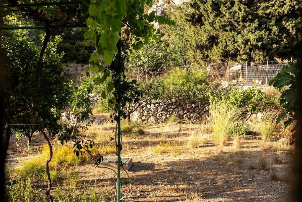 σκίνος Holiday home